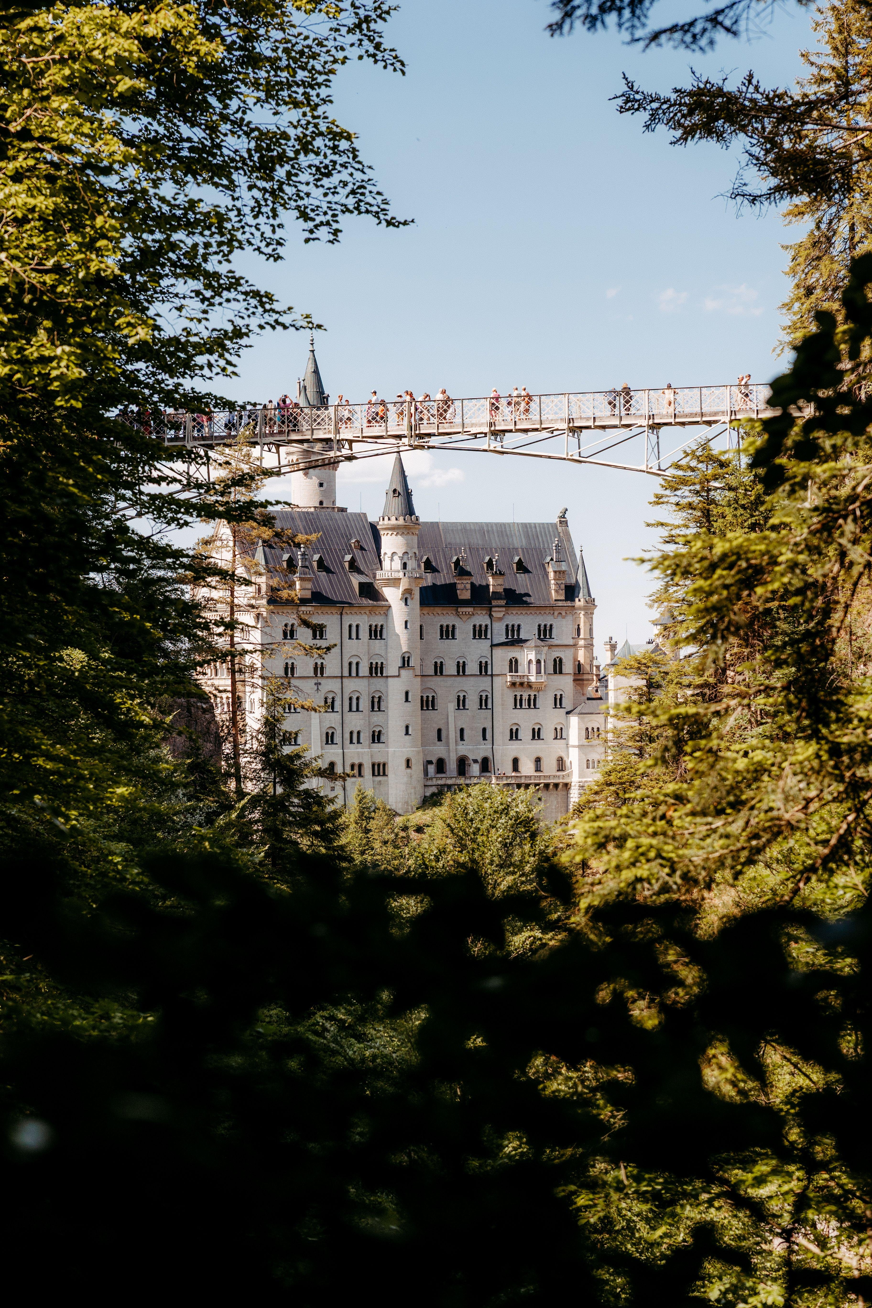 Neuschwanstein Castle tour and Bavarian Alps scenery — image 2
