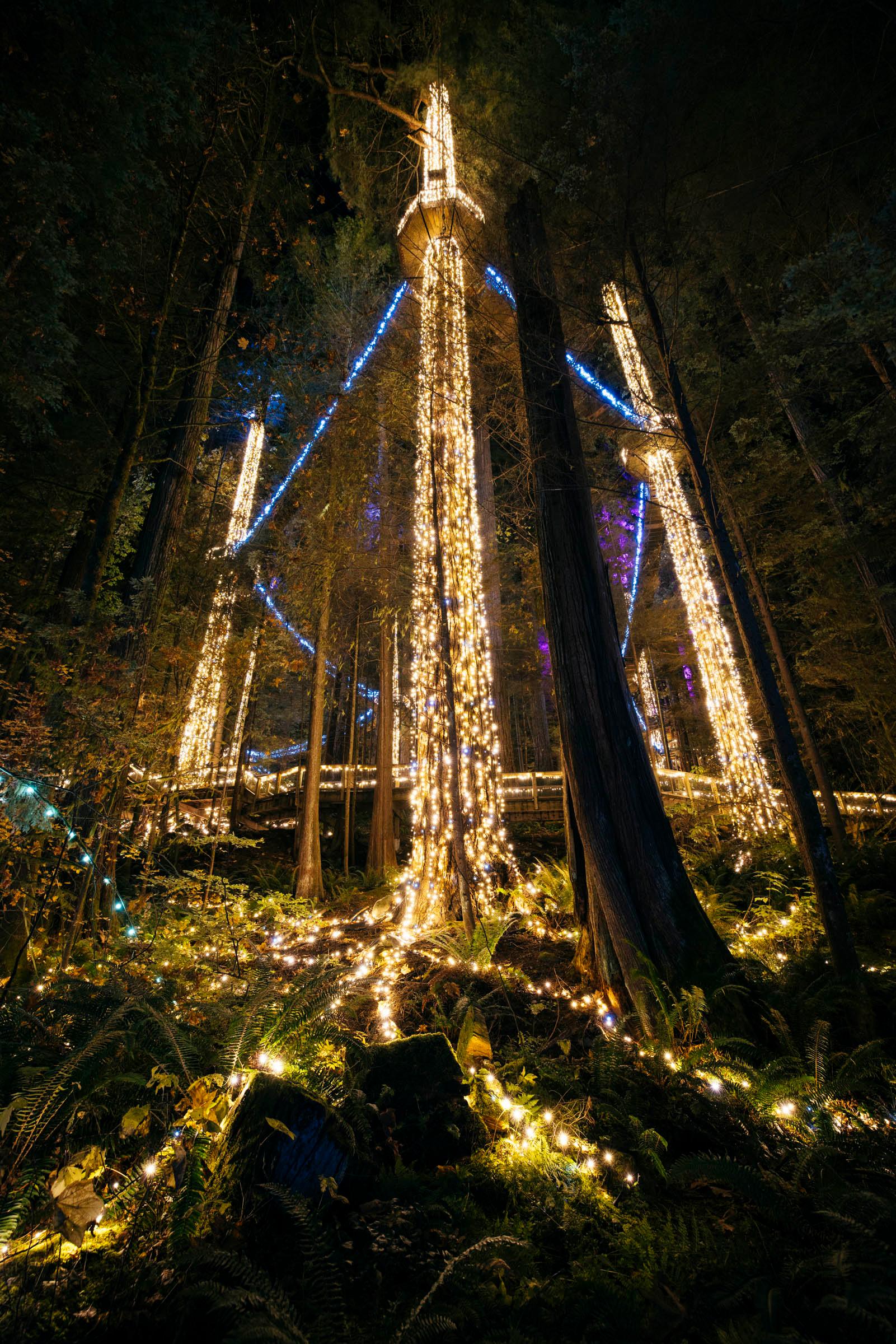 Capilano Suspension Bridge Park Entry