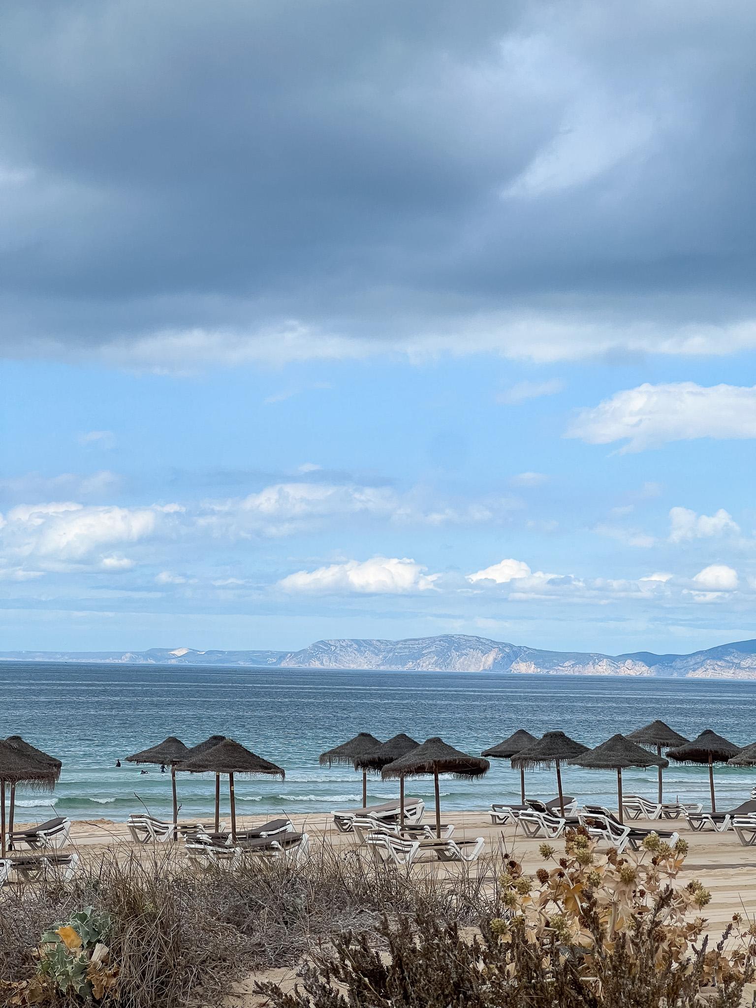 Comporta Origins: Heritage & Coast Discovery