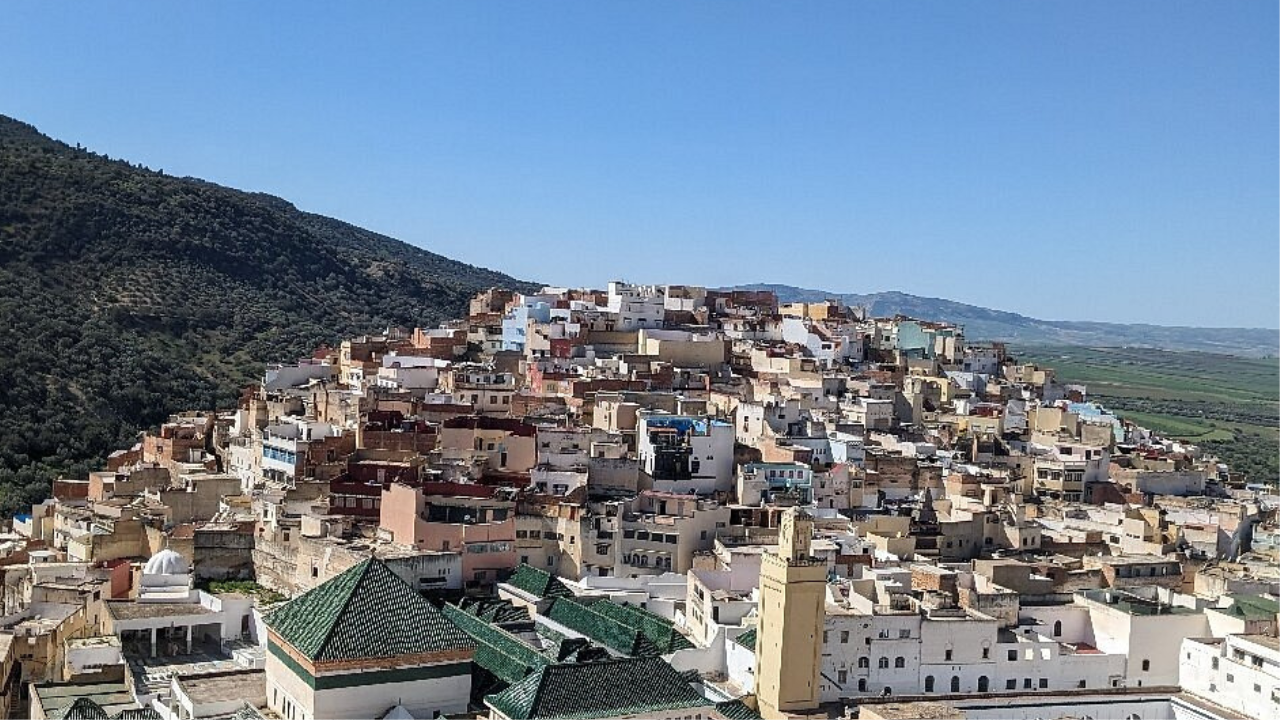 Fes Imperial Cities & Roman Ruins Day Trip