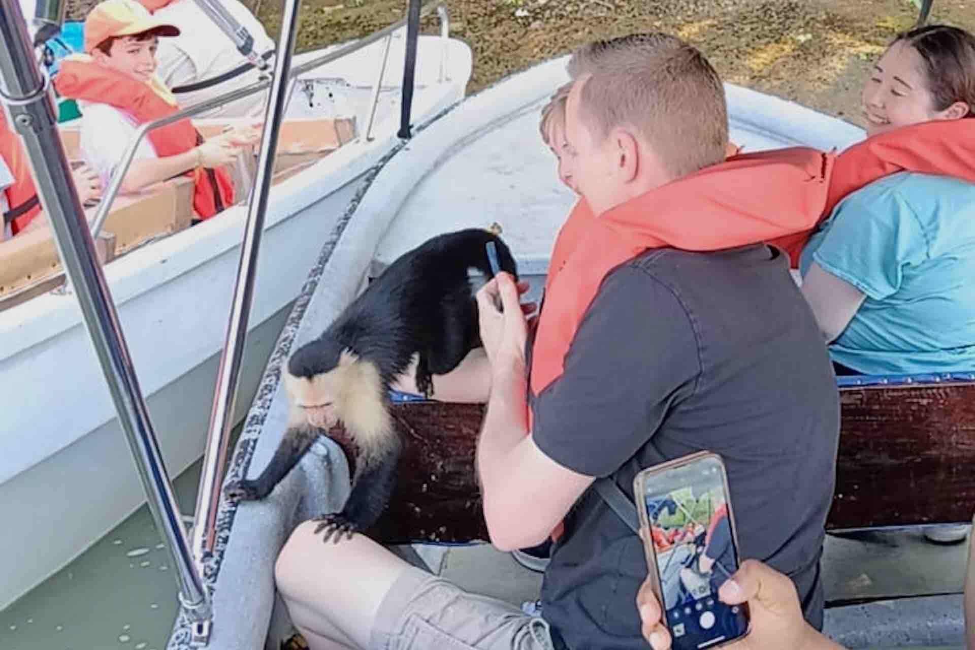 Gatun Lake Wildlife & Sloth Sanctuary Boat Adventure