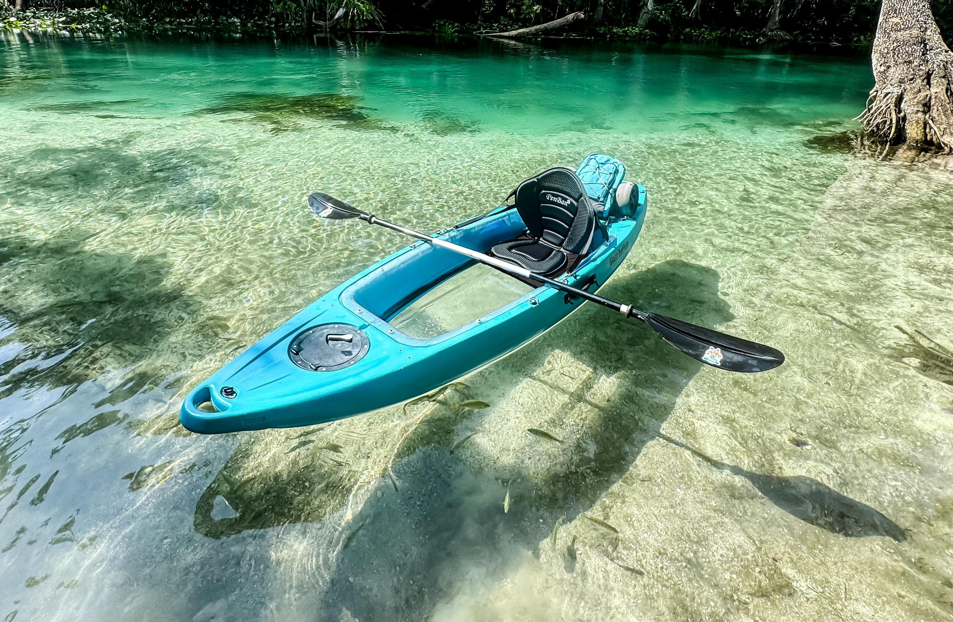 Silver Springs Glass-Bottom Kayak Wildlife Tour