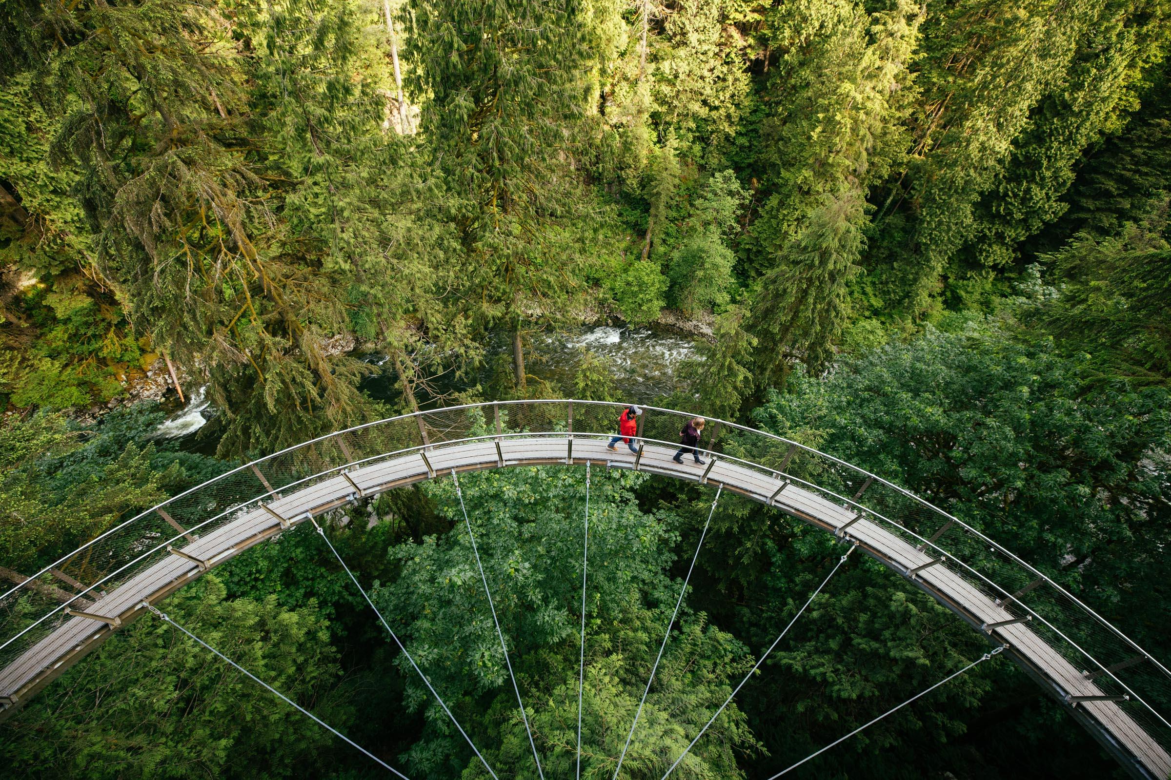 Vancouver North Shore & Capilano Canyon Lights Explorer