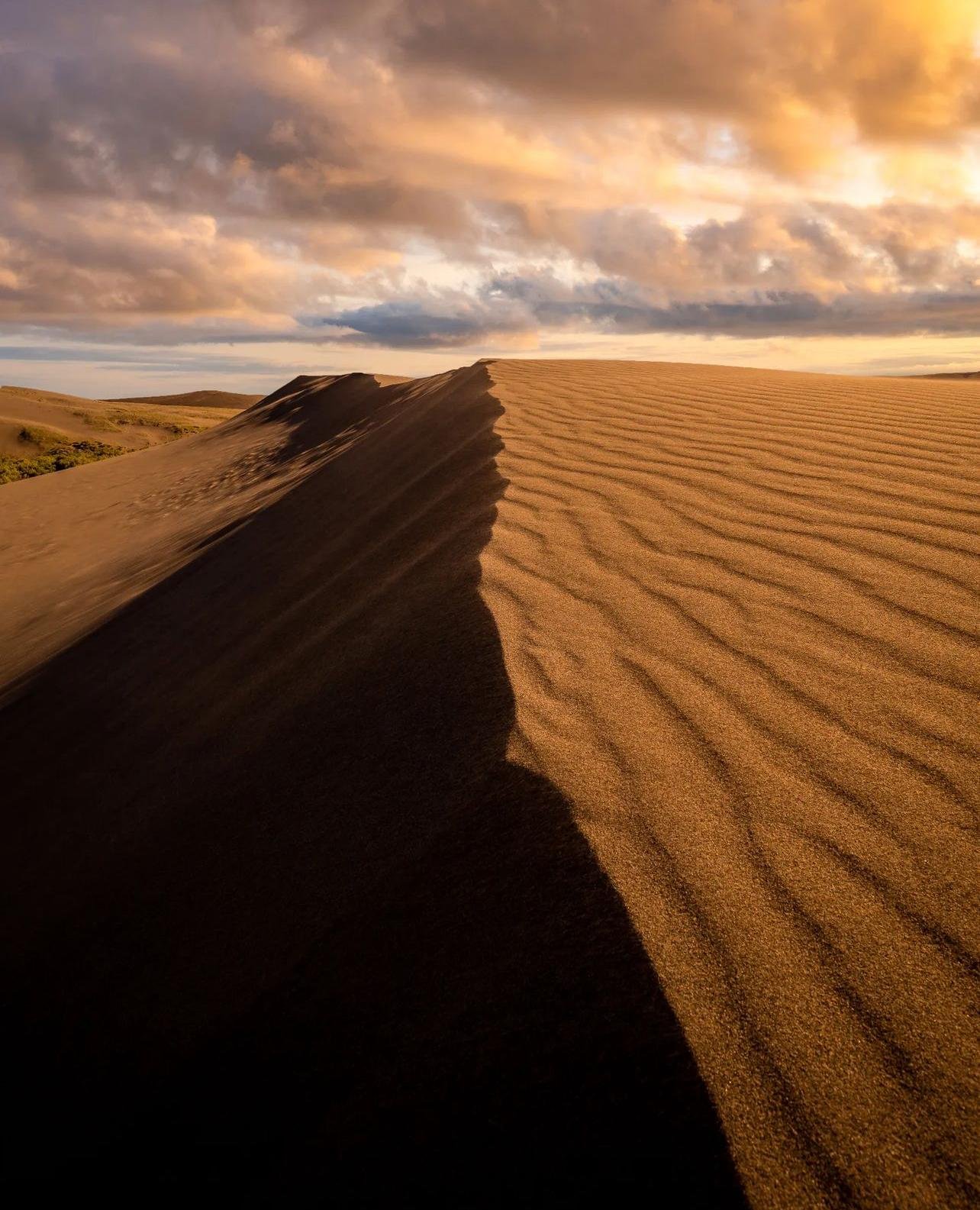 Doha Desert Safari: Sunset Dune Bashing, Camel Ride & Sandboarding