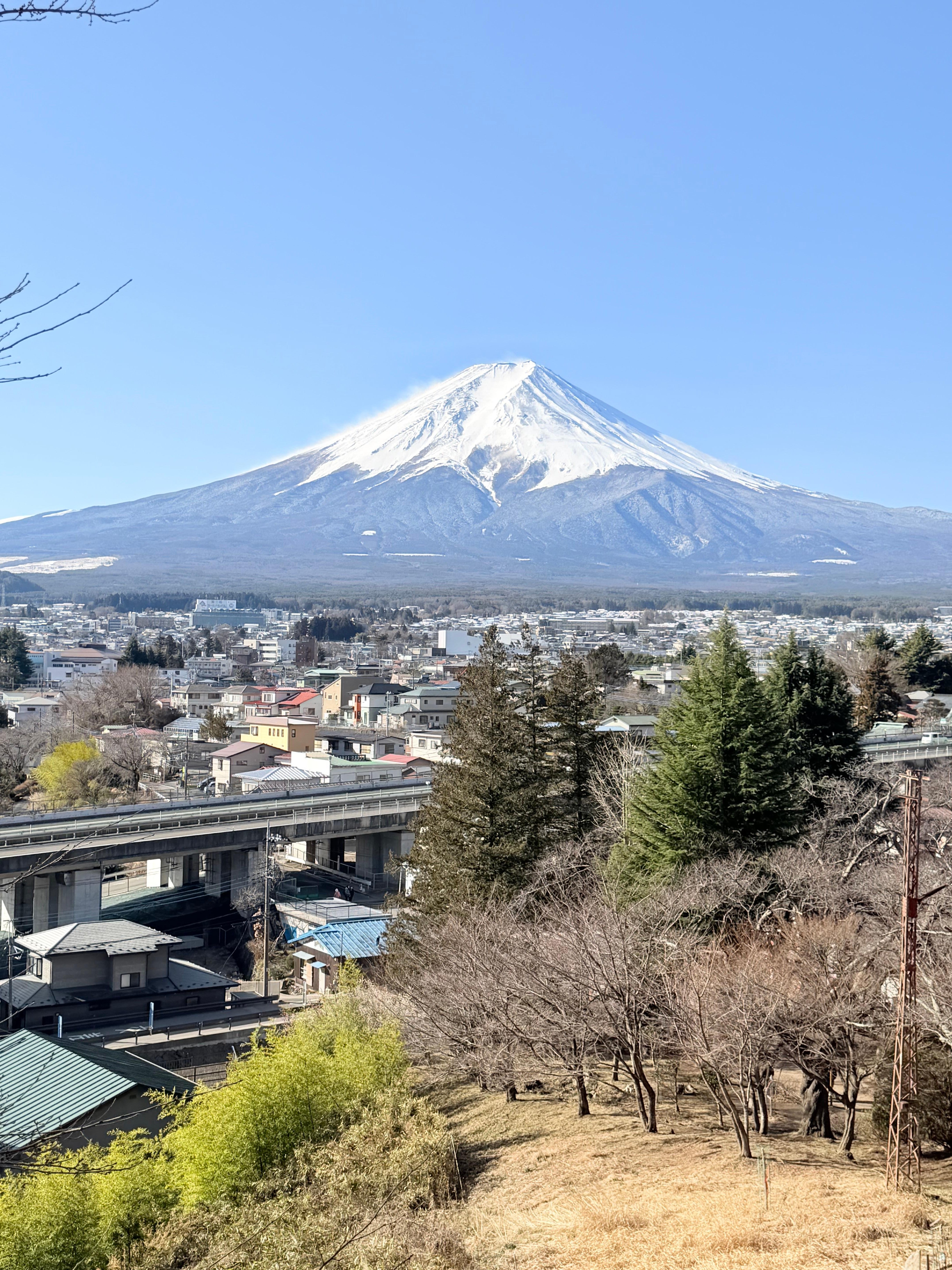 Tokyo to Mt. Fuji & Hakone: Private Full-Day Tour with English Driver