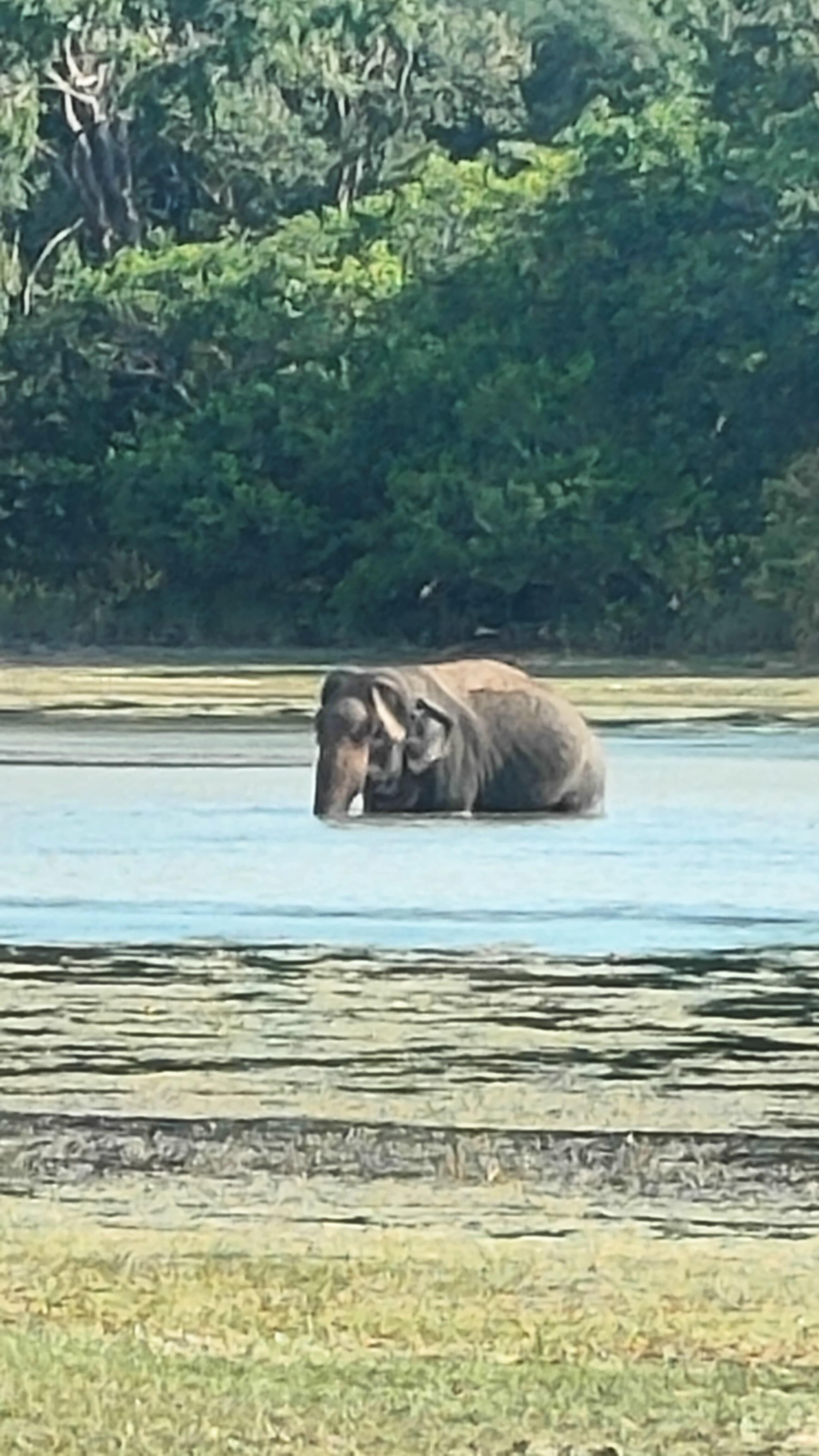 Full-Day Wilpattu National Park Safari from Anuradhapura