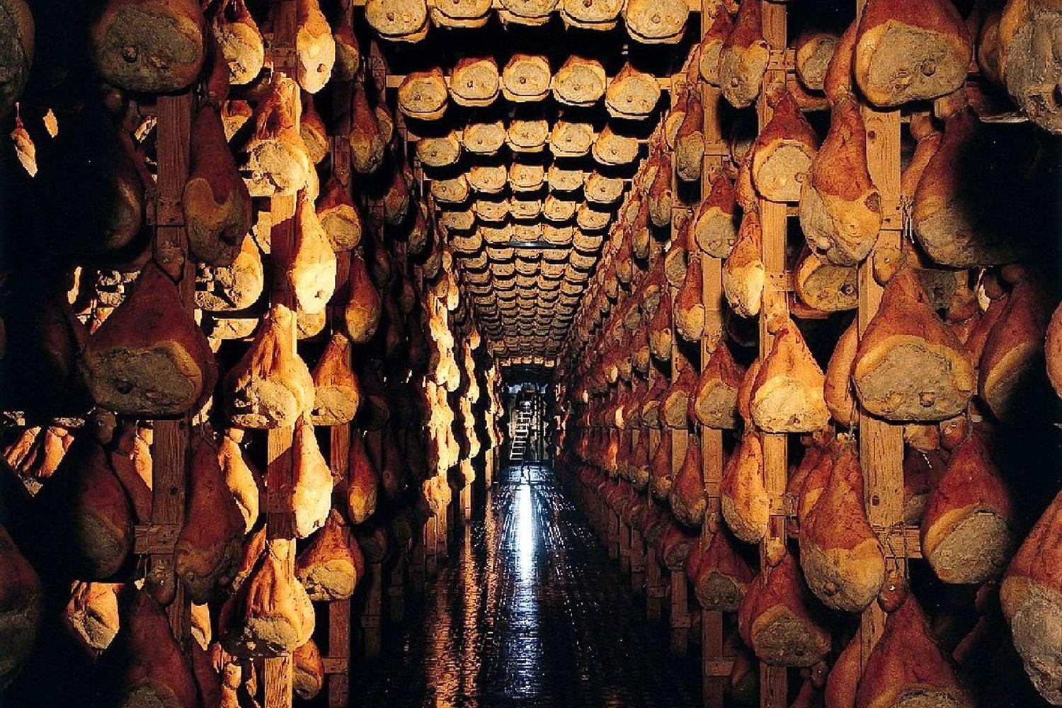 cheese tasting in Parma — photo 4