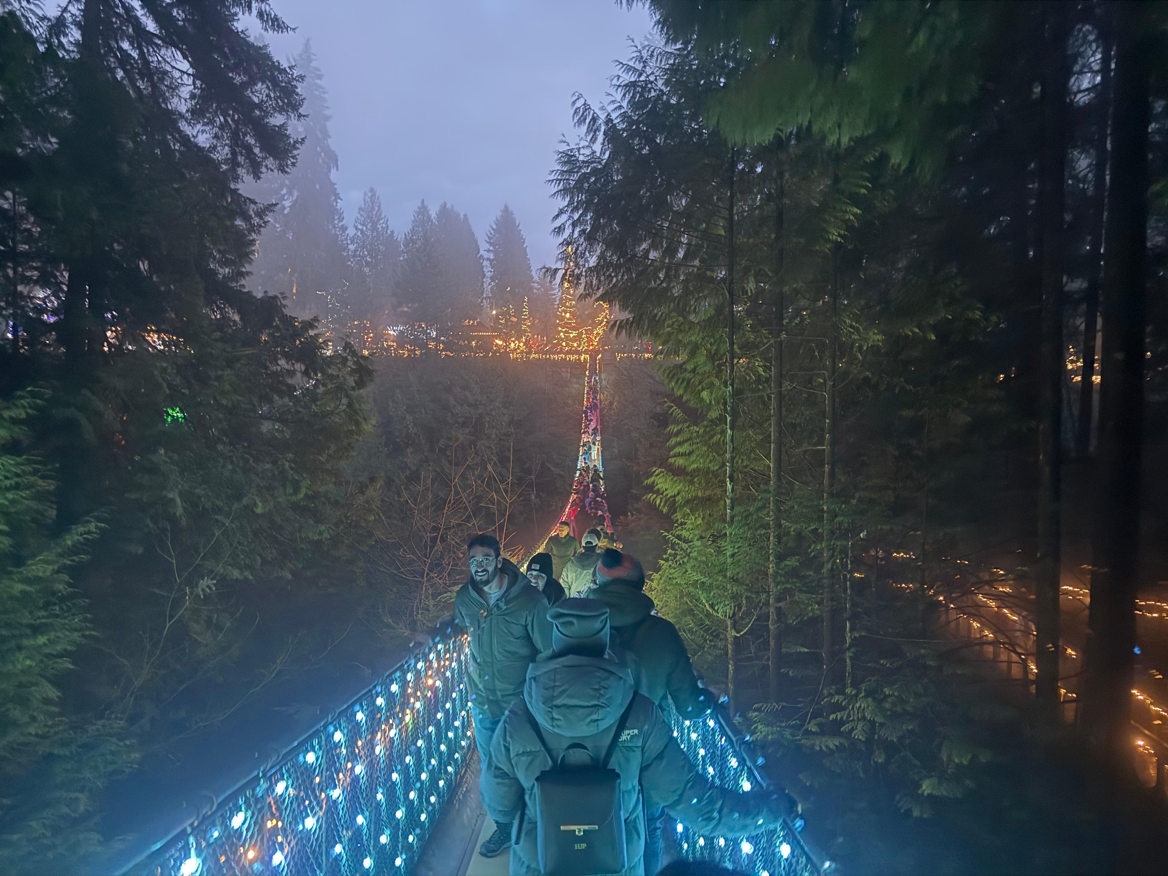 Capilano Suspension Bridge & Stanley Park Small Group Tour