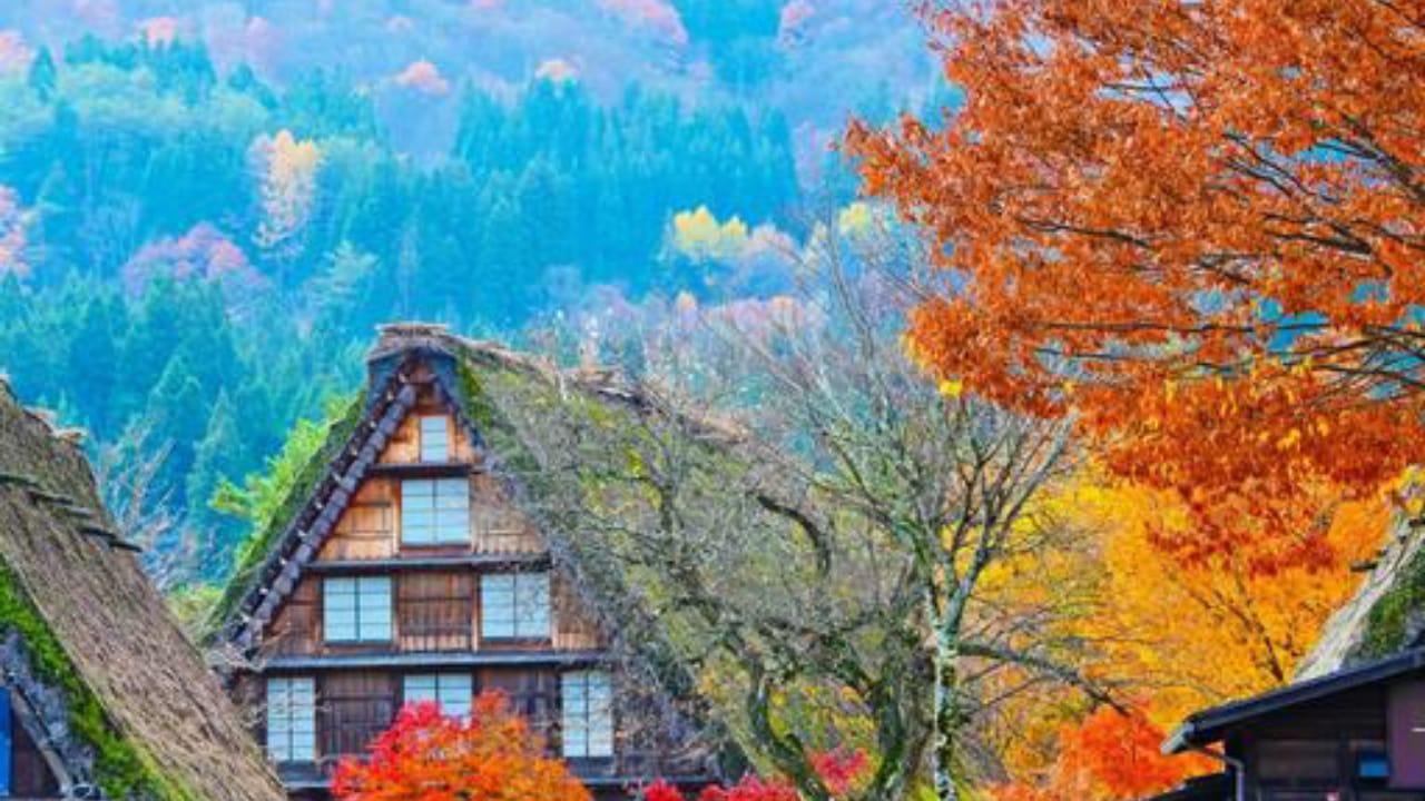 Shirakawa-go & Takayama Private Day Trip