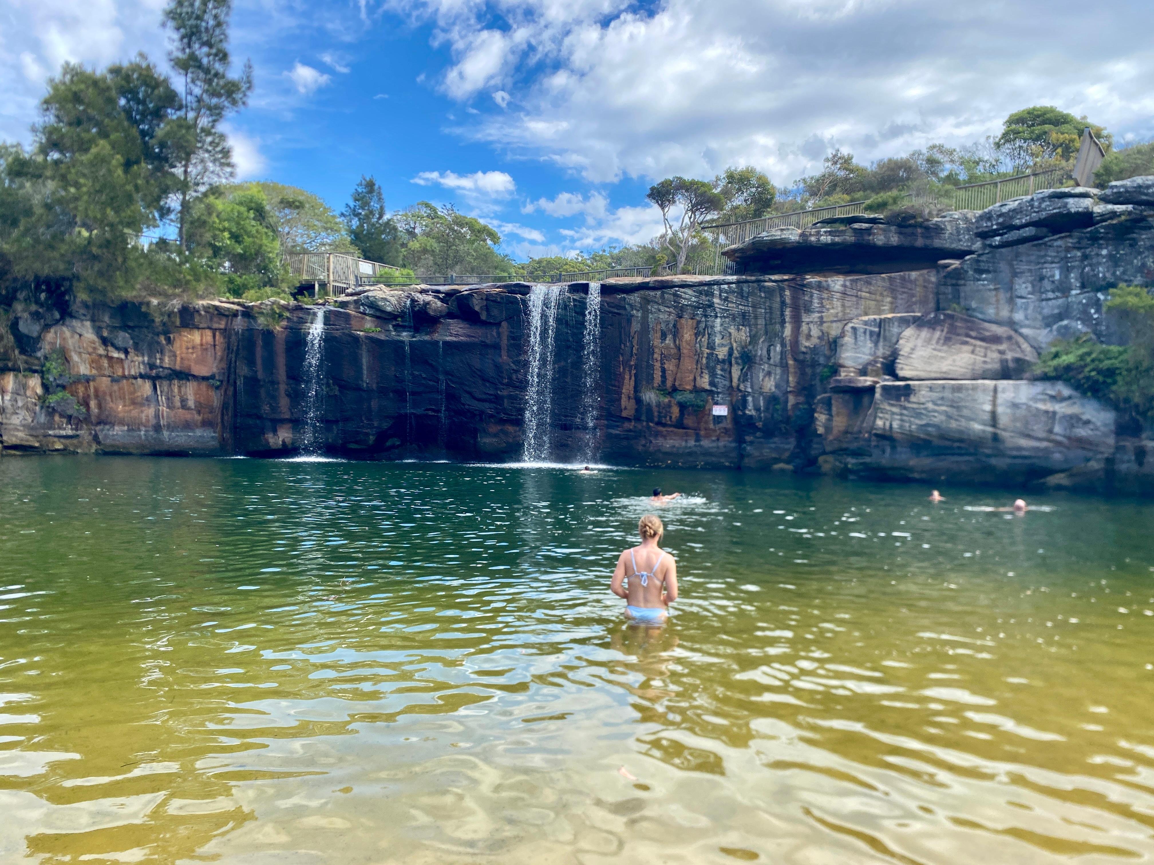 Sydney: Royal National Park Coast & Forest, Koalas & Lunch