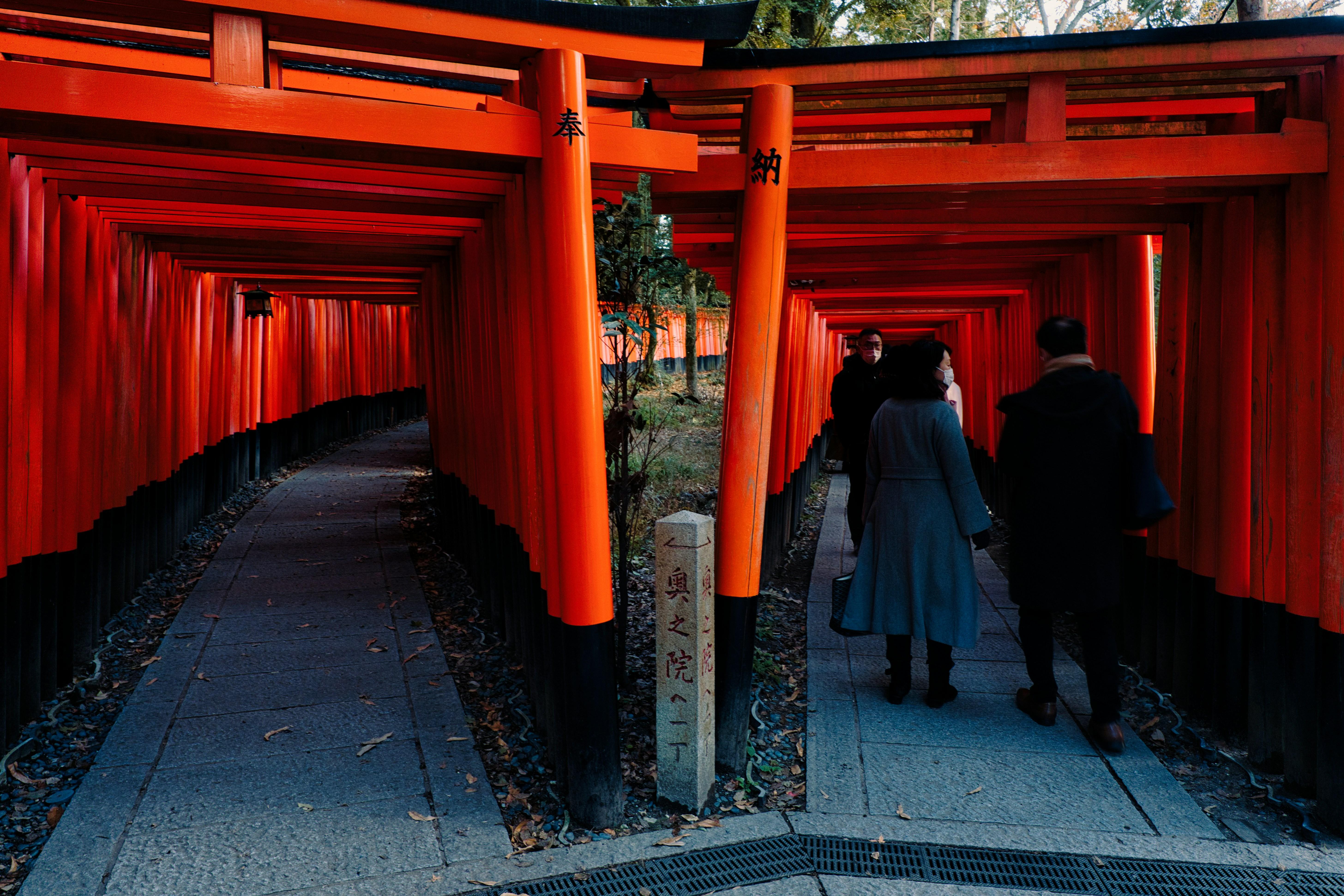Kyoto Early Bird: Fushimi Inari, Nijo Castle & Kinkaku-ji