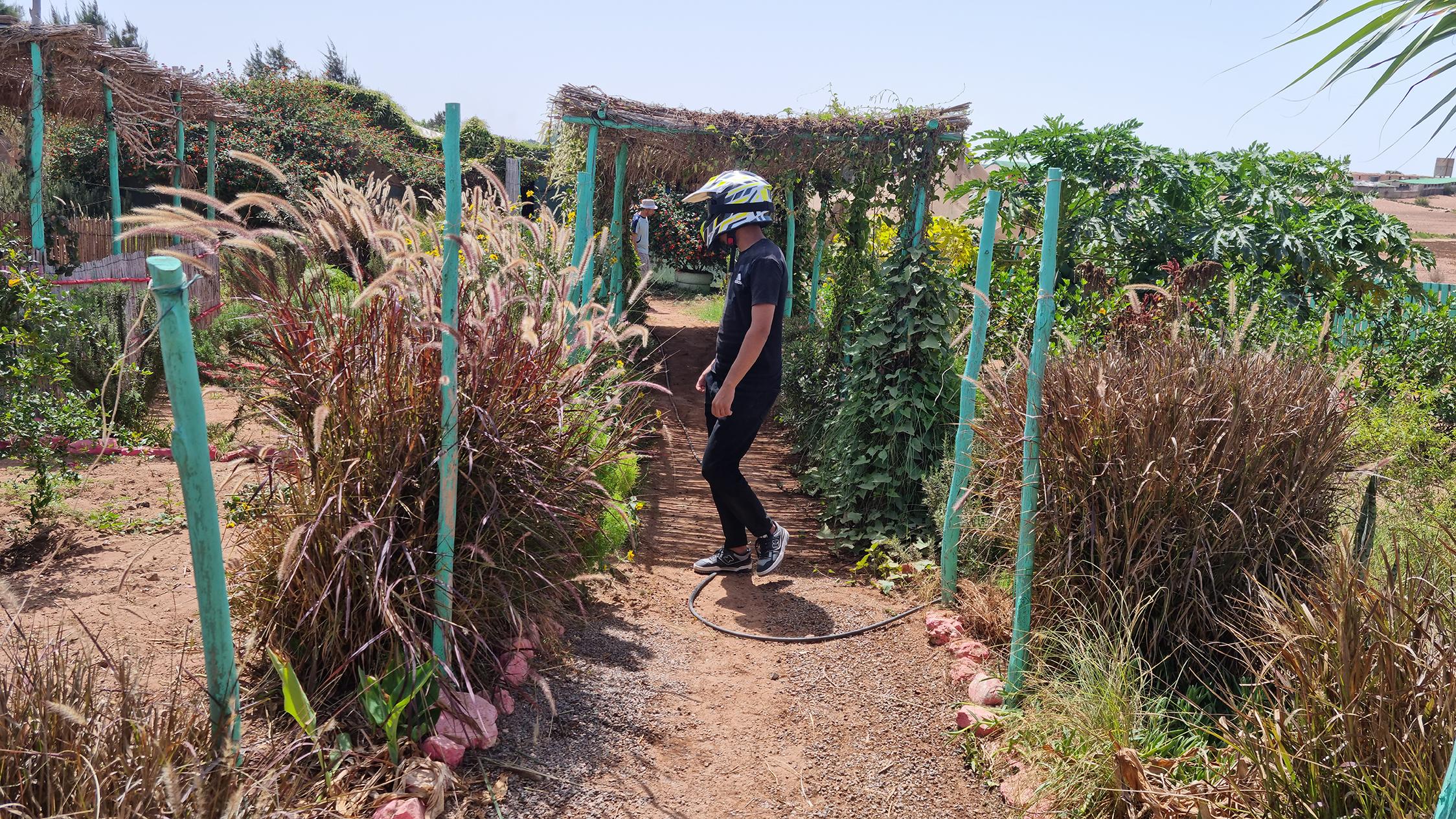 Agadir Quad Biking & Camel Trek with Berber Tea