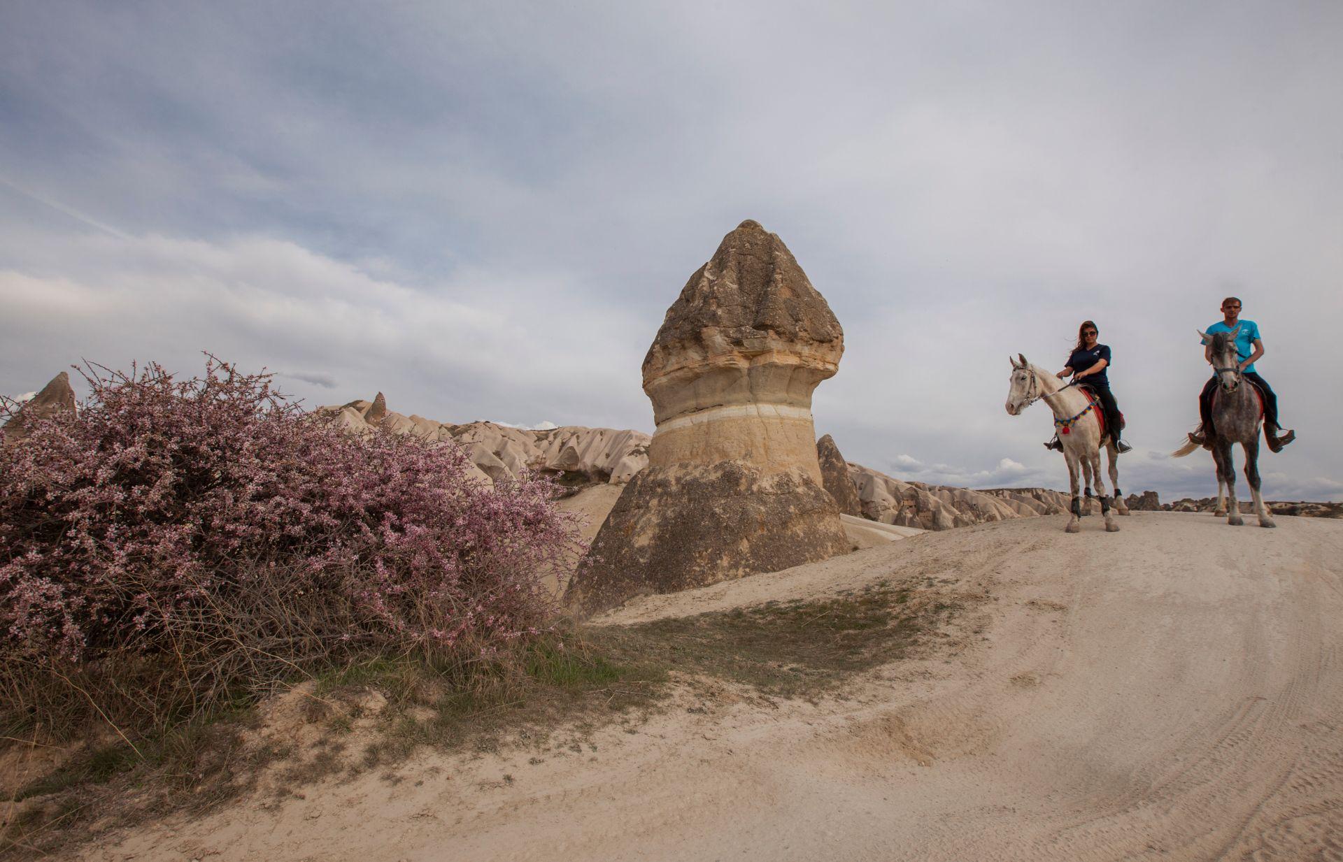 Cappadocia Guided Horseback Trail Ride