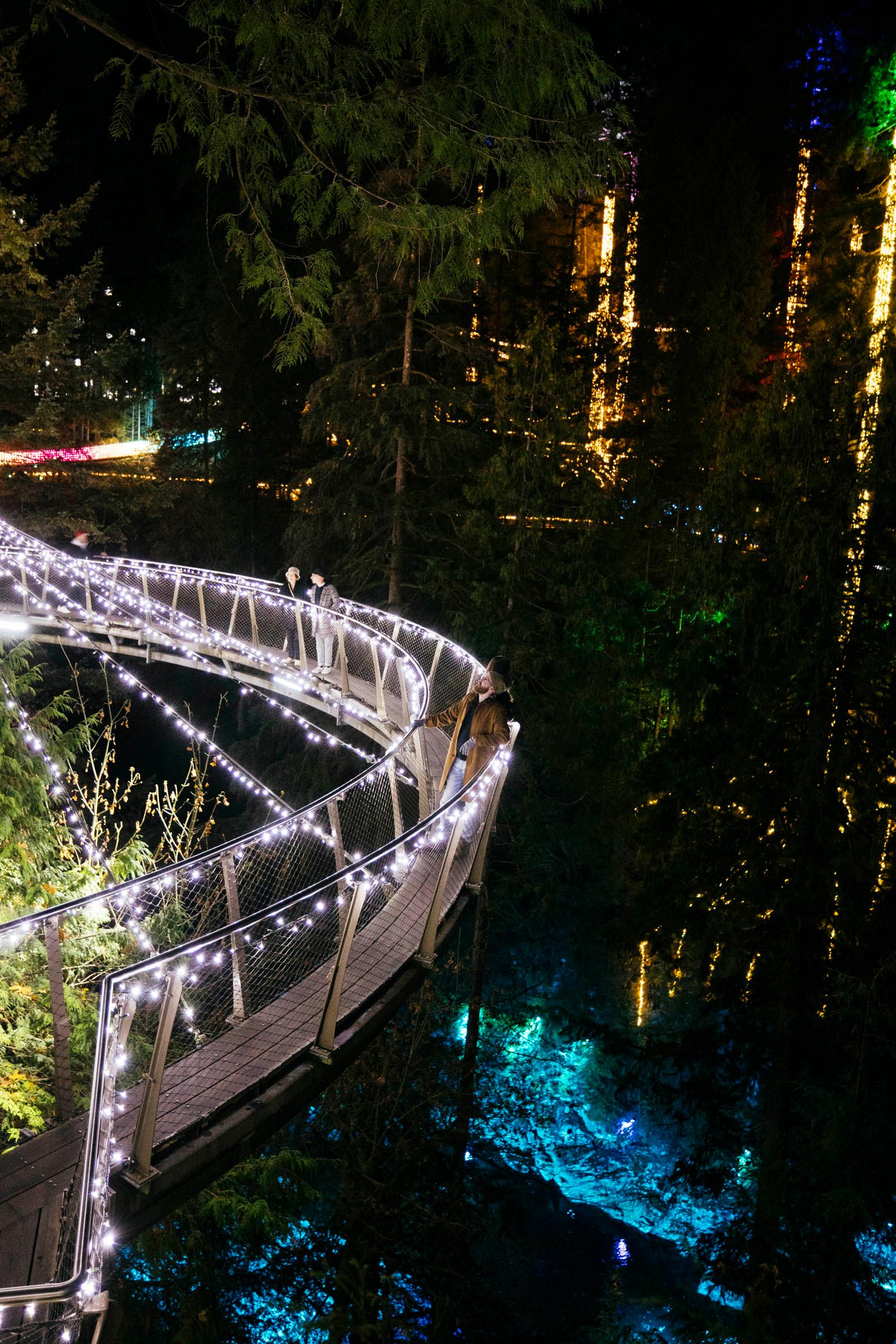Capilano Suspension Bridge Park Entry