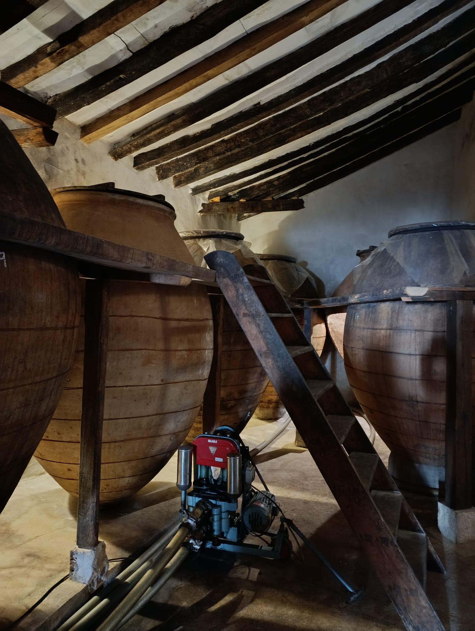 Madrid Winery Tour with Wine Tasting