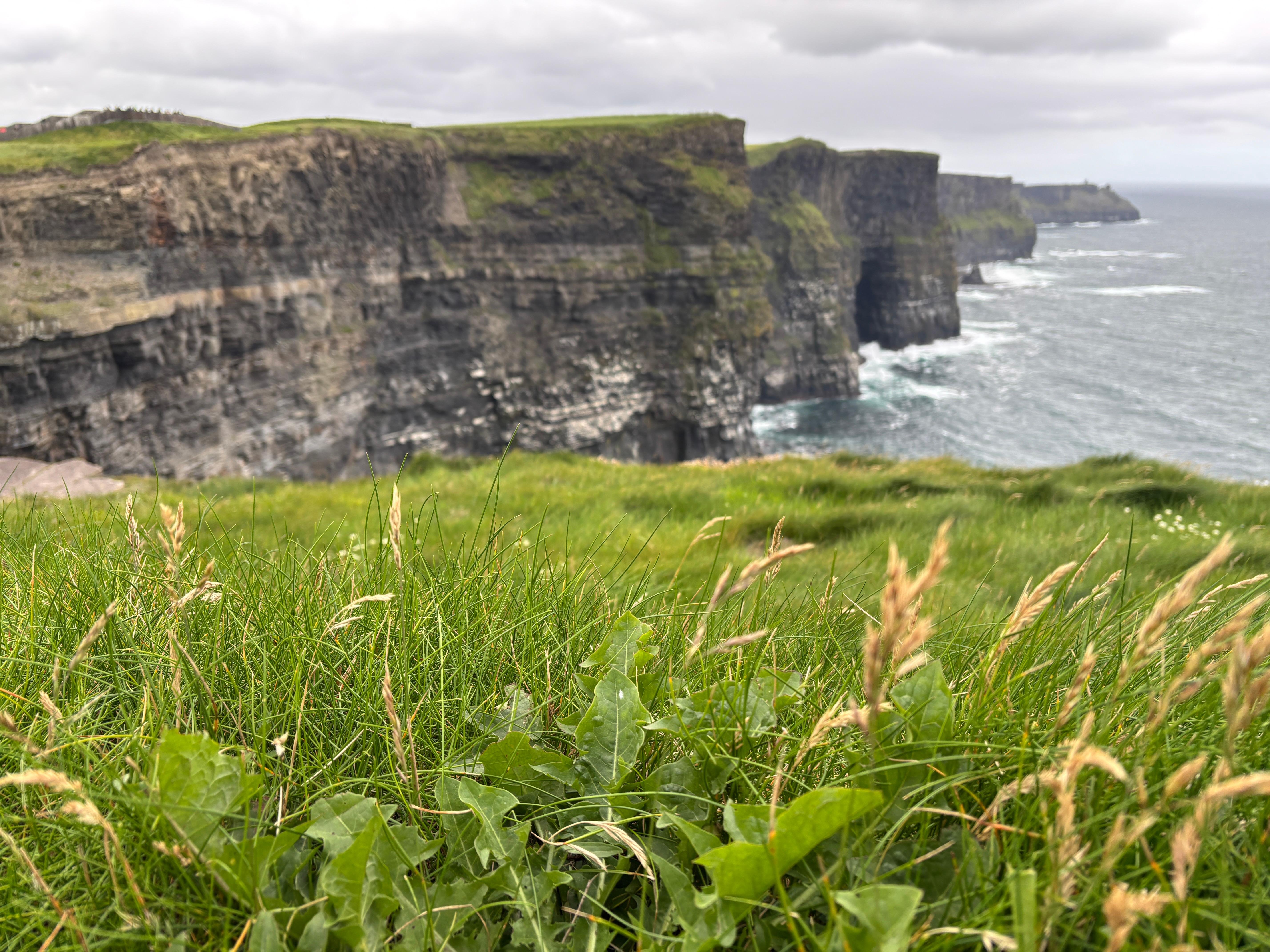 Private Cliffs of Moher & Wild Atlantic Way Tour from Foynes Cruise Port