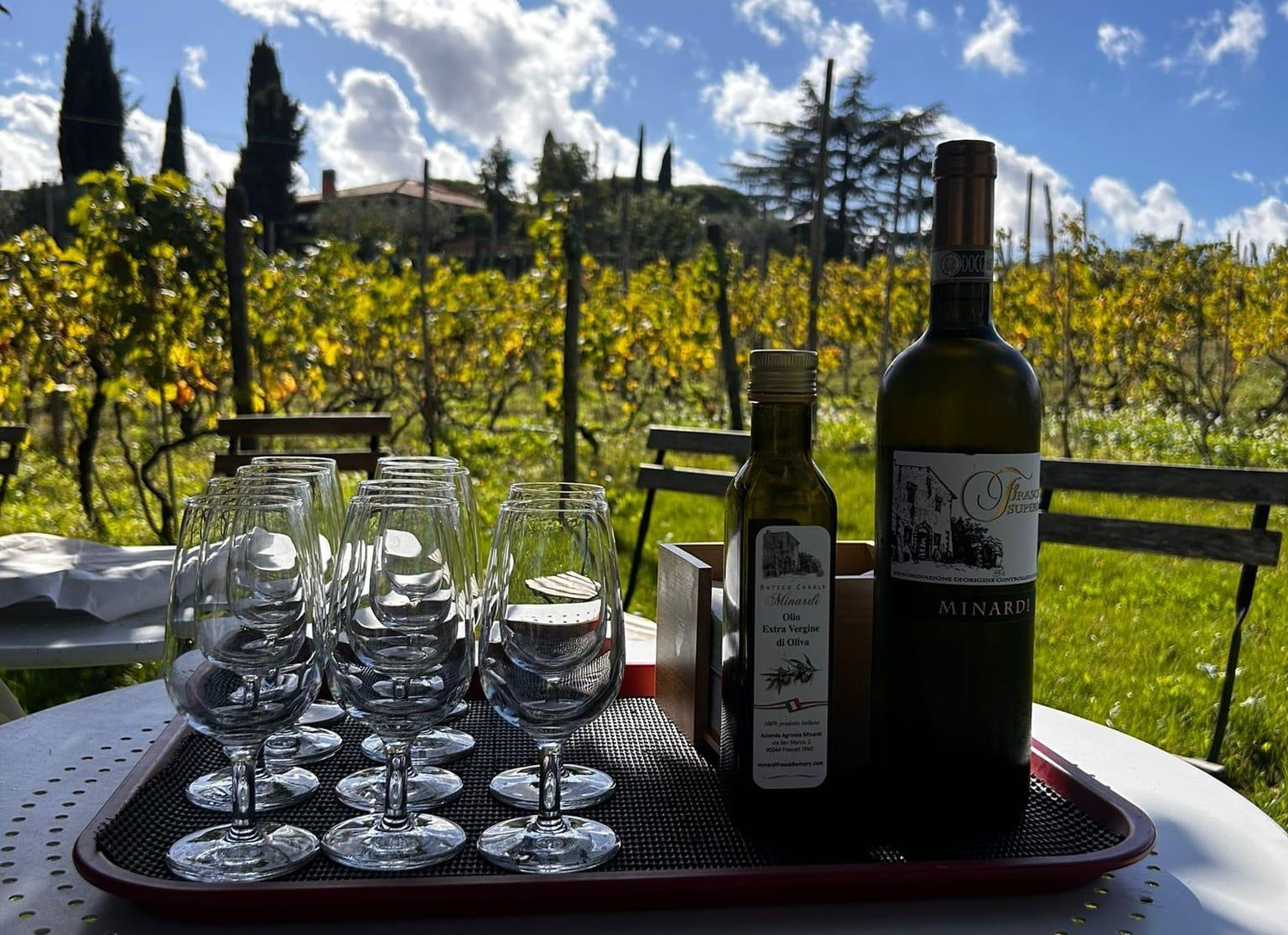 Frascati Wine Experience with Vineyard Lunch