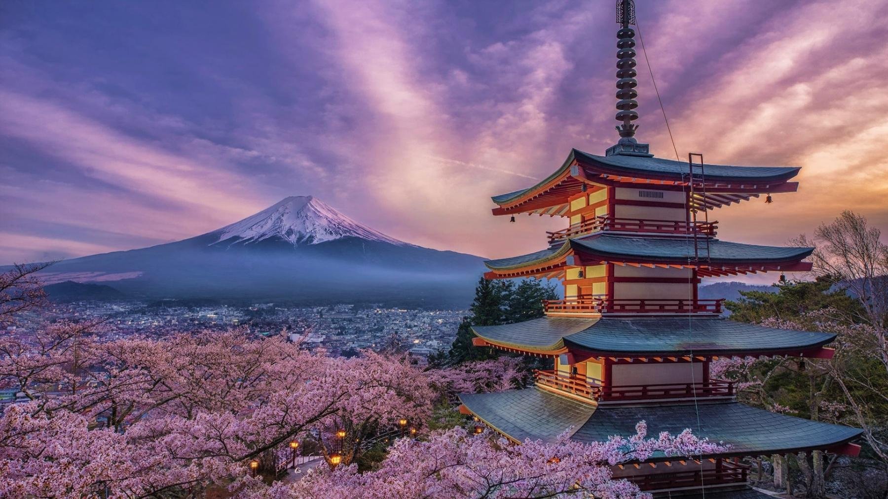 Mount Fuji Private Day Tour from Tokyo with English Guide