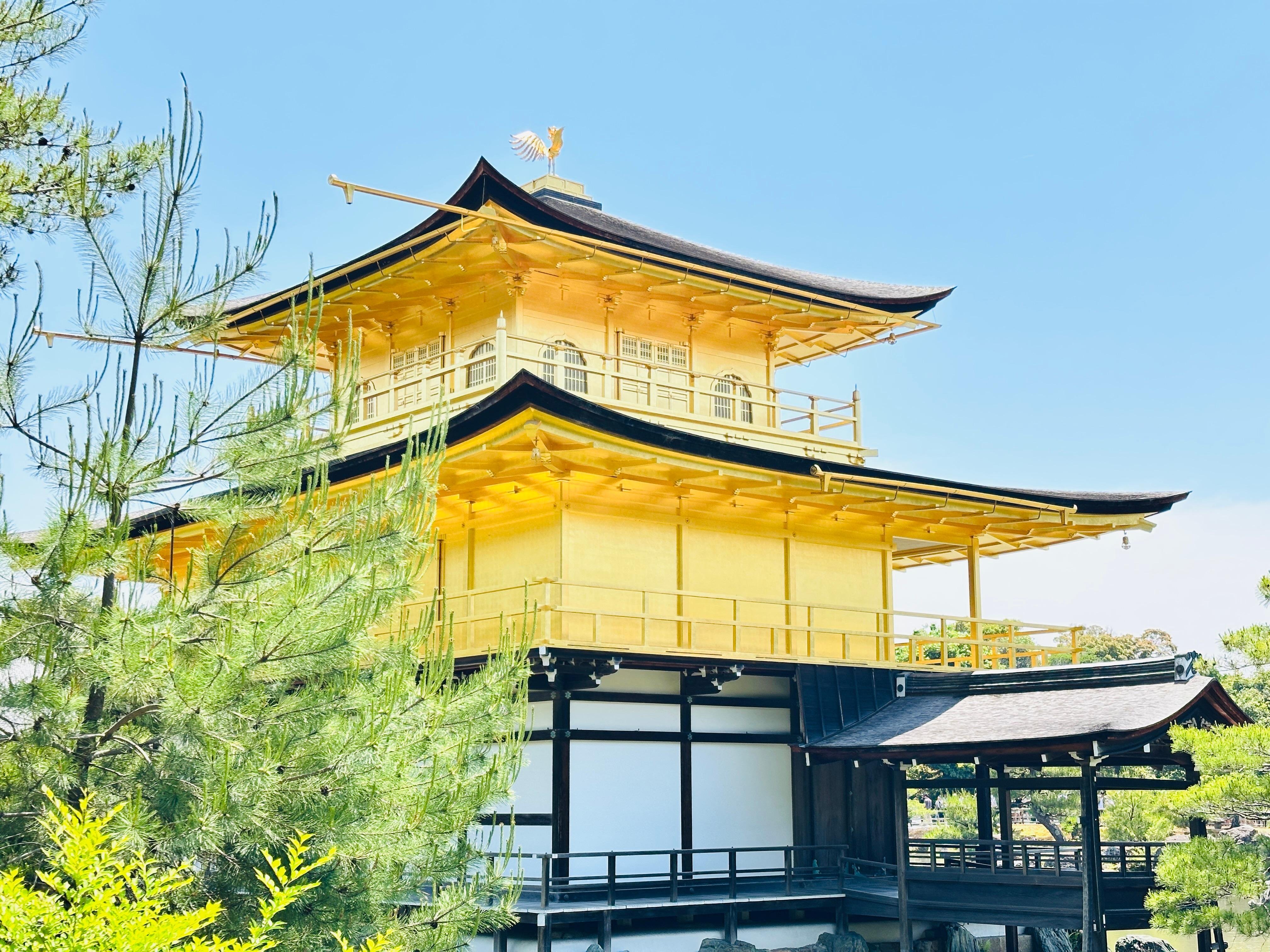 Privat høydepunkts-tur i Kyoto med sjåfør og engelskspråklig guide