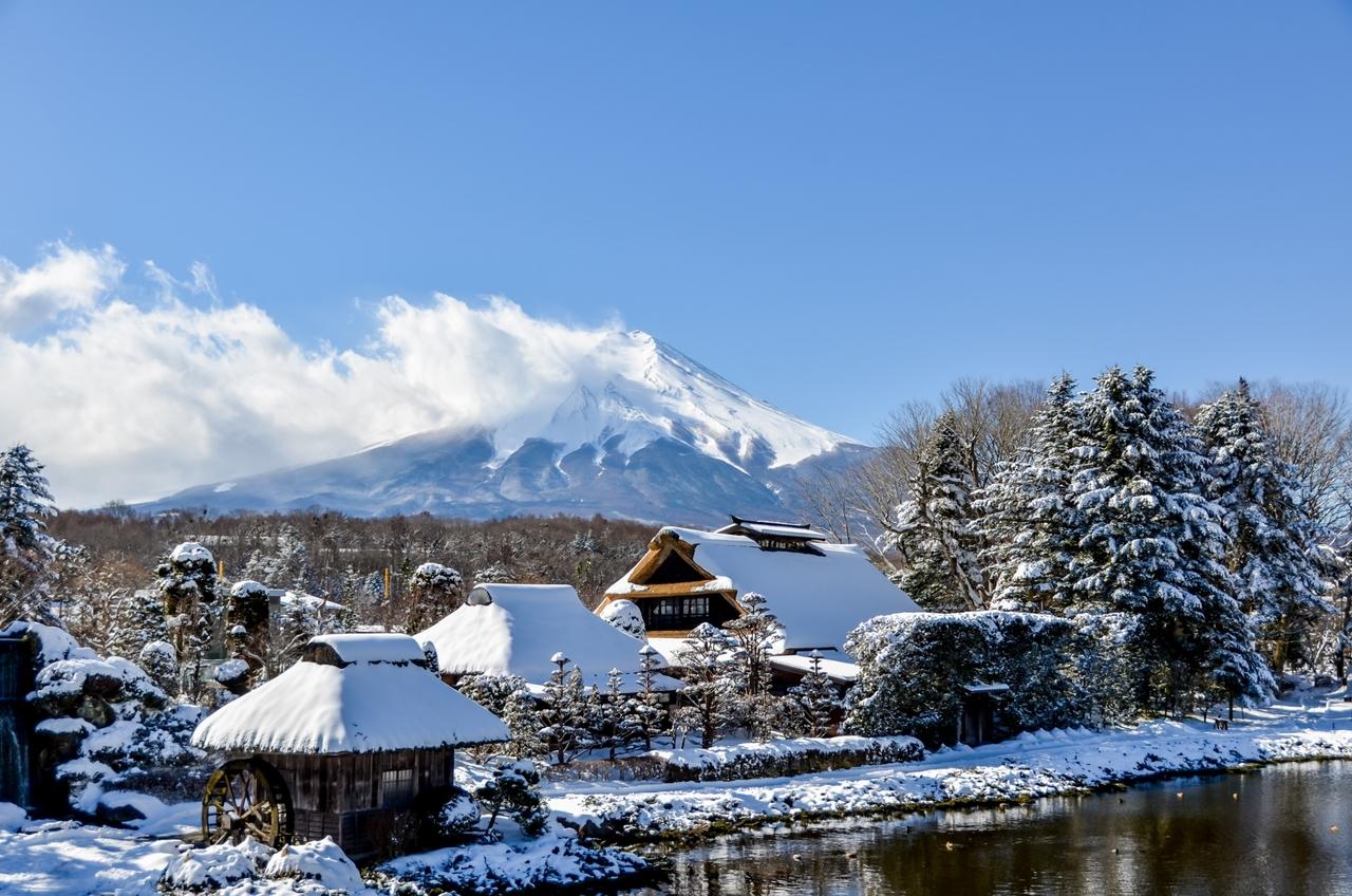 Mt. Fuji Day Tour: Scenic Stops & Lake Kawaguchi Cruise from Tokyo