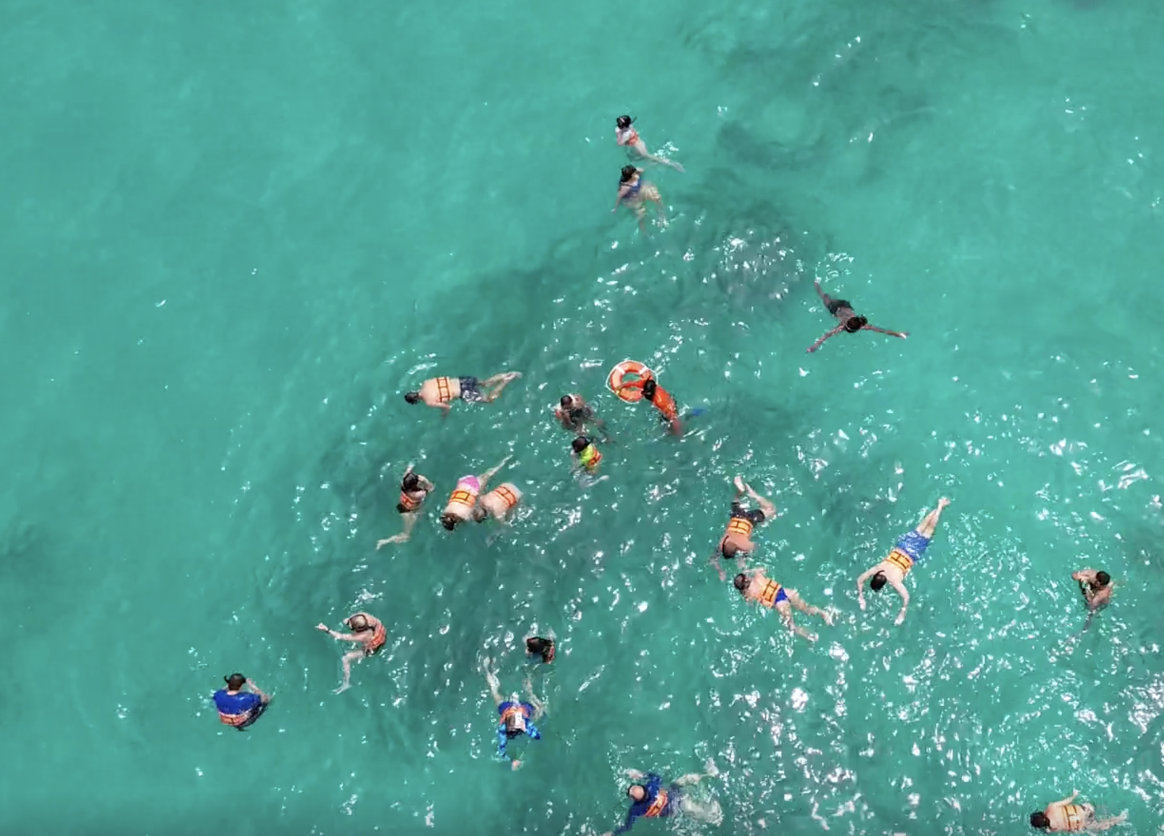 Punta Cana Catamaran & Reef Snorkel with Open Bar
