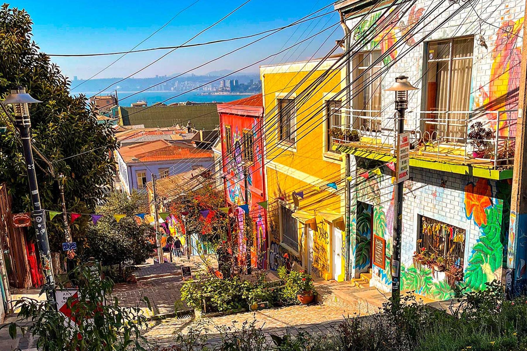 Valparaíso wine tour, the Casablanca Valley and Valparaíso's hills — image 52