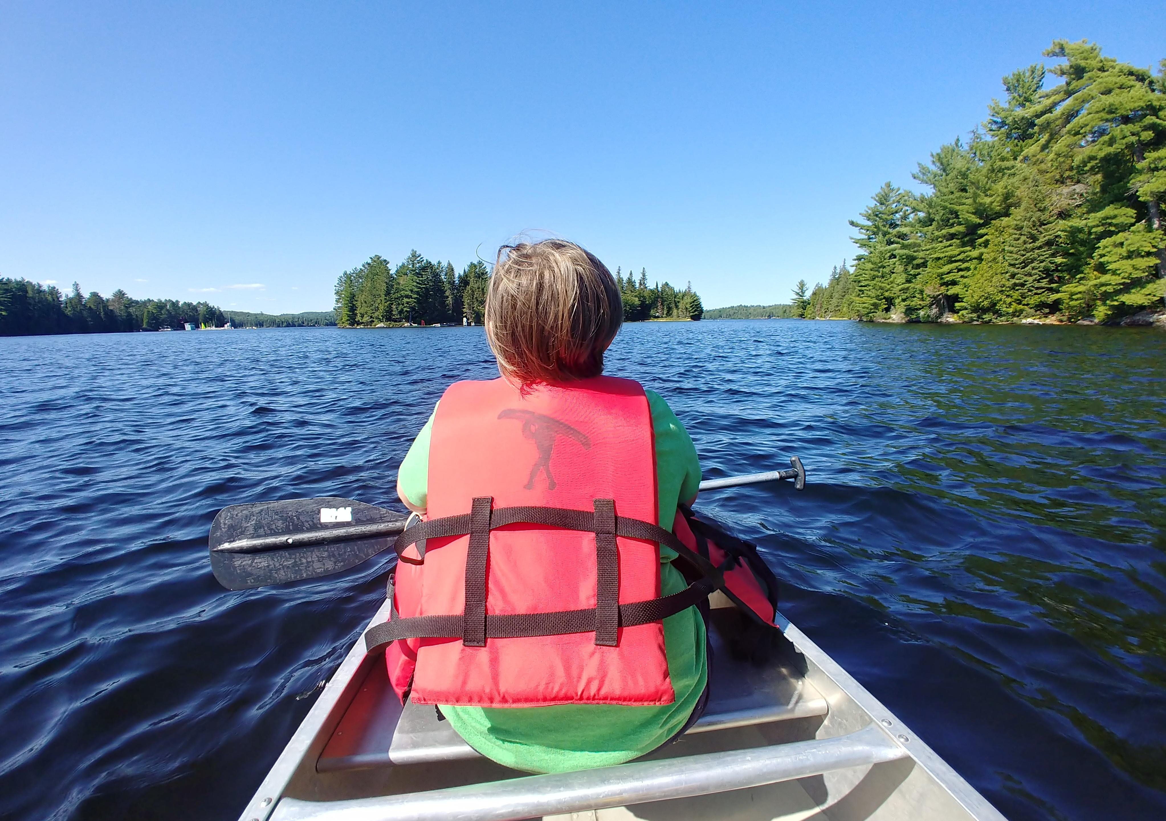 Algonquin Park canoe tour — Canoe Lake paddling and northern forest — image 9
