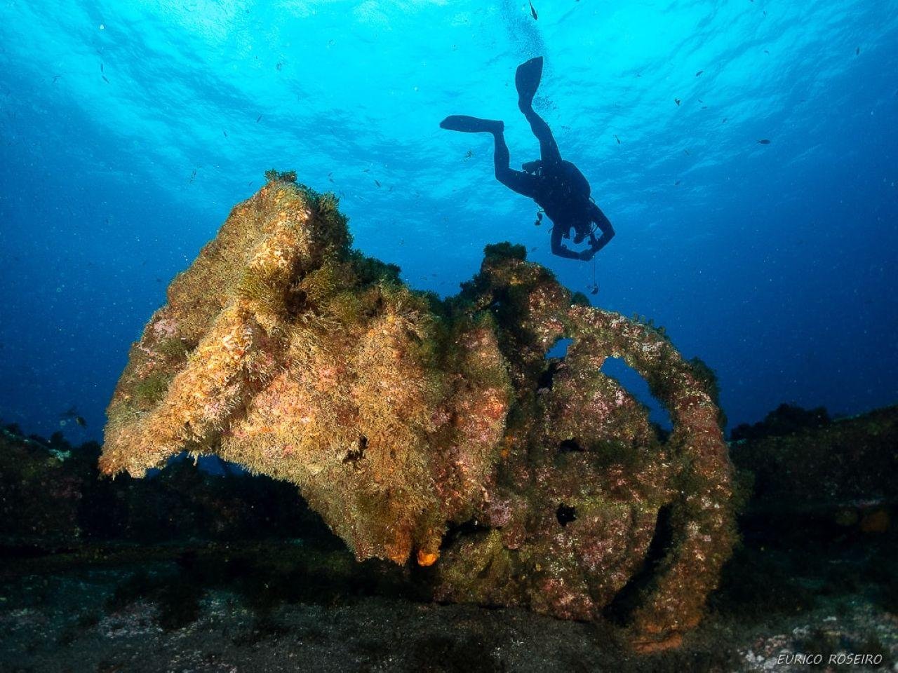 Double Dive Adventure in the Azores Atlantic
