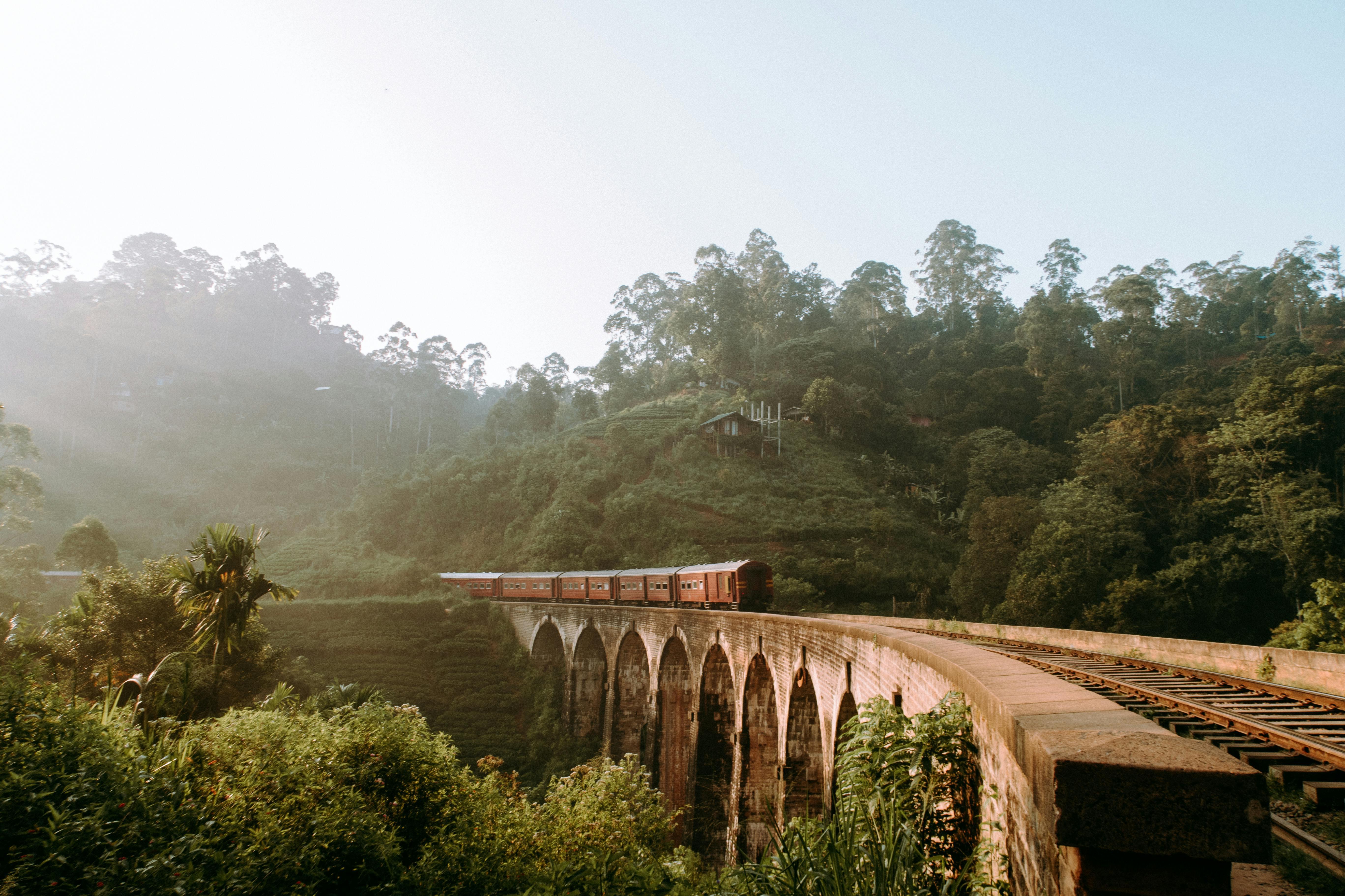 7-Day Sri Lanka Highlights: Culture, Wildlife & Coast