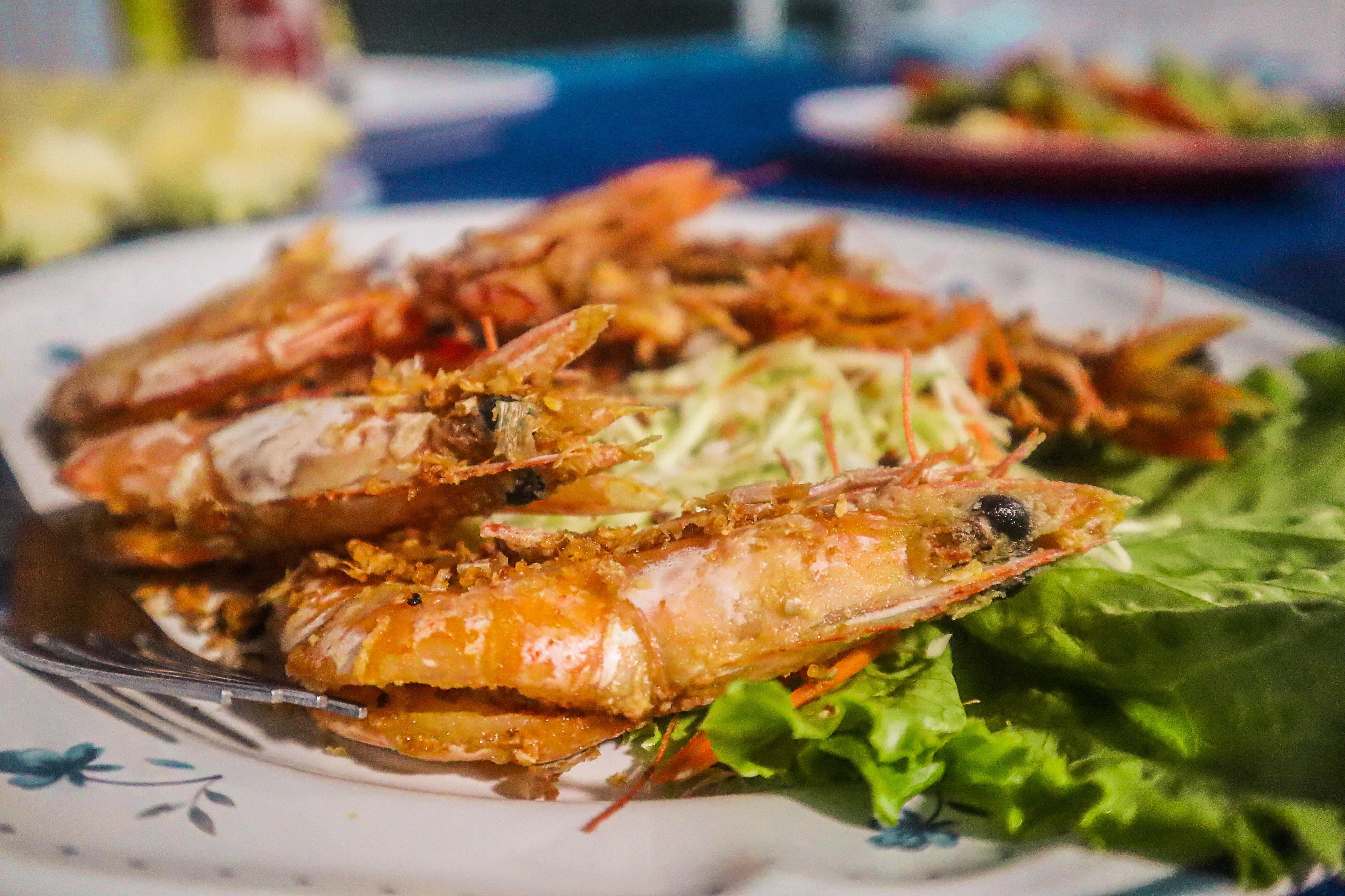 Phang Nga Bay Sea Canoe & Bioluminescent Plankton Night Tour from Phuket