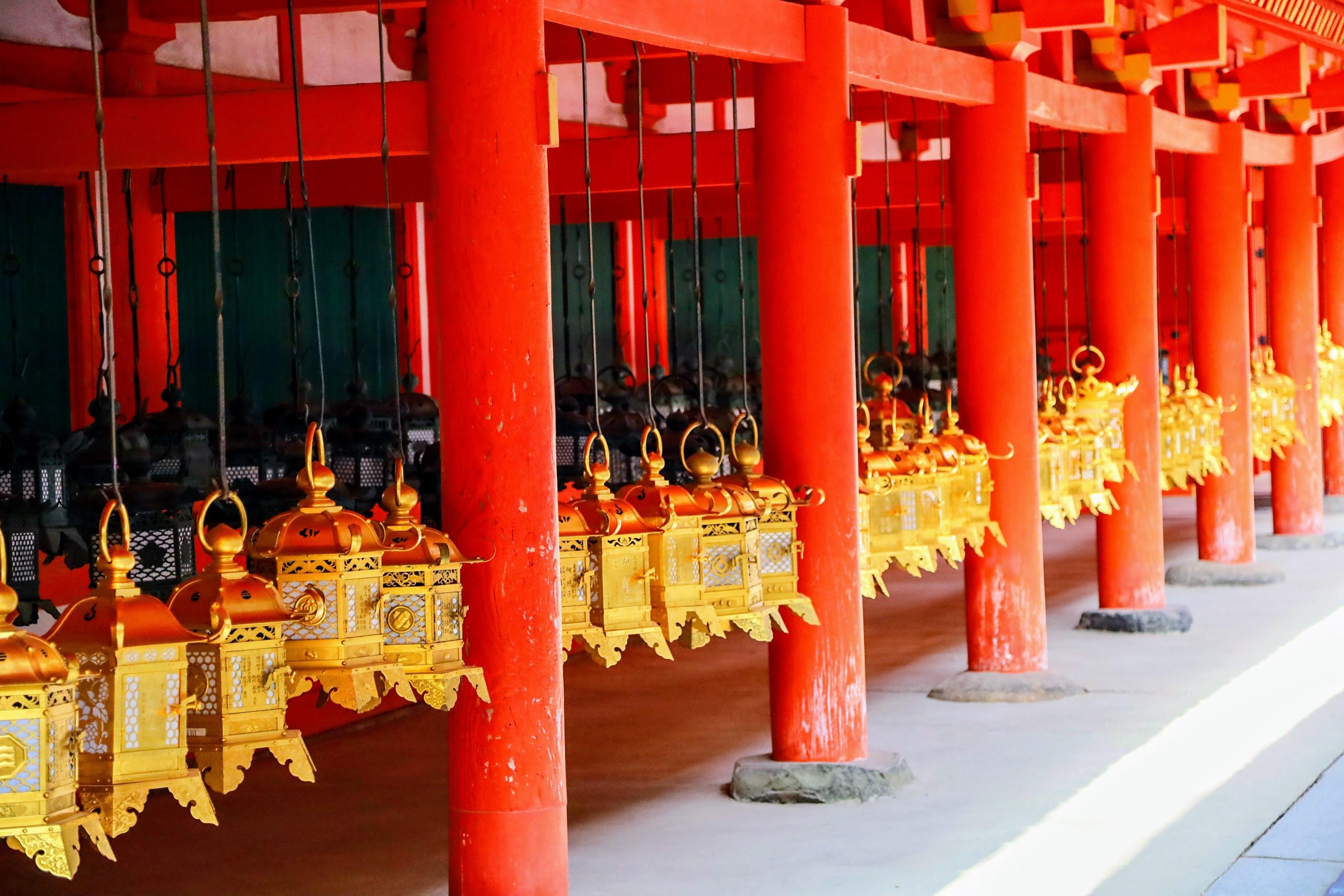 Nara Guided Half-Day Morning Tour from Kyoto