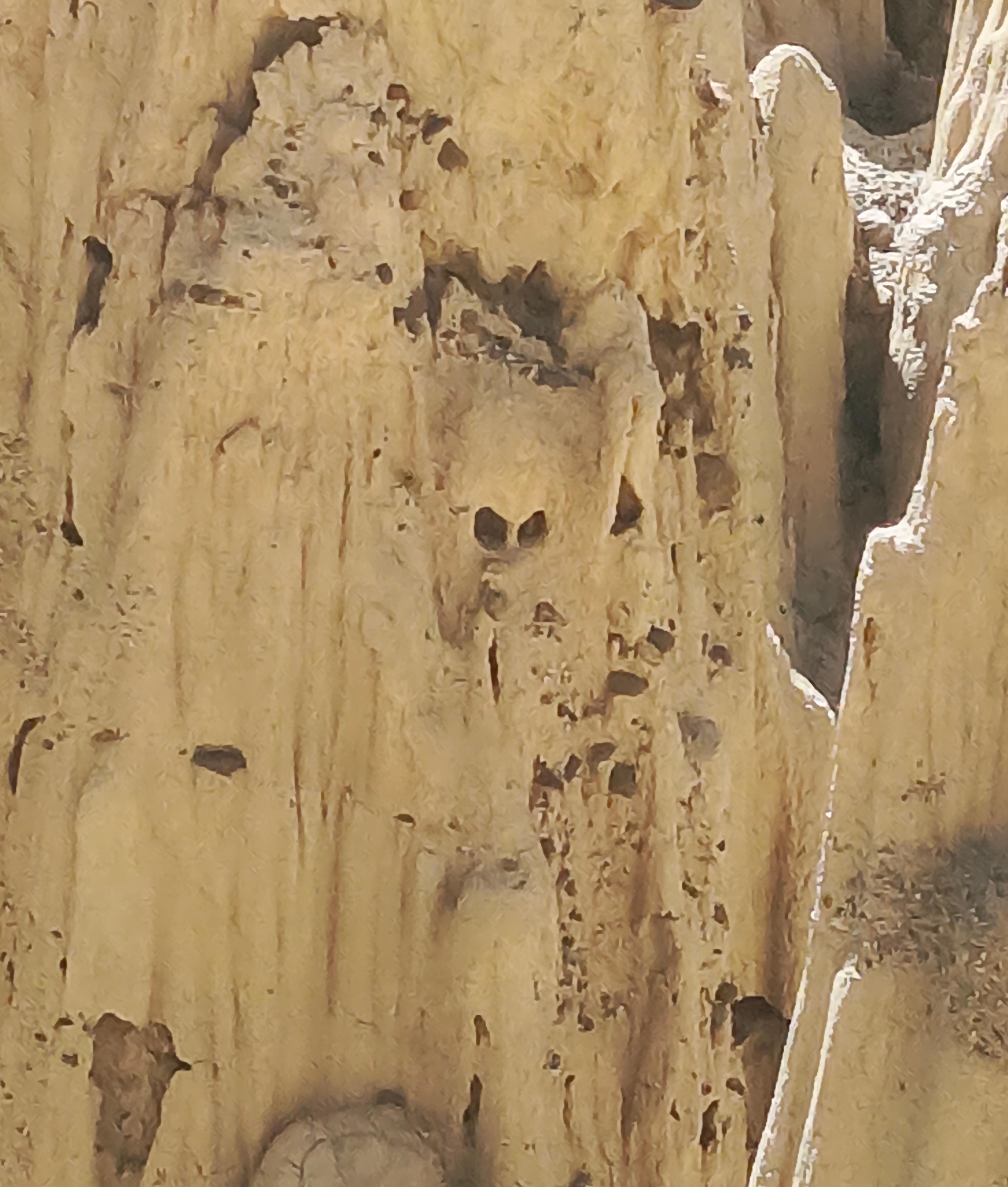 Aventure d'une demi-journée : Valle de las Animas, Vallée de la Lune et Killi Killi