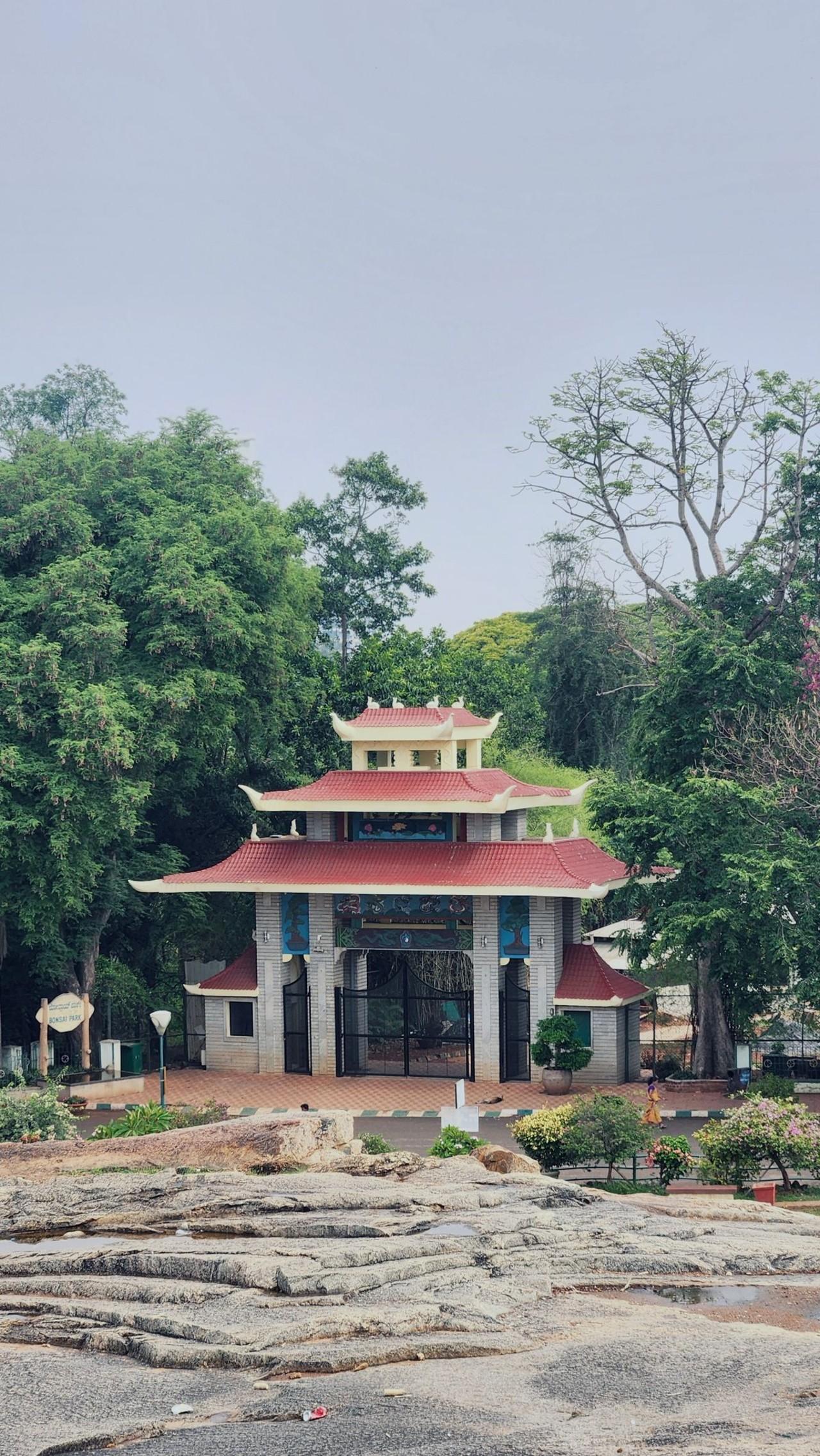 Lalbagh Botanical Garden Guided Discovery Tour