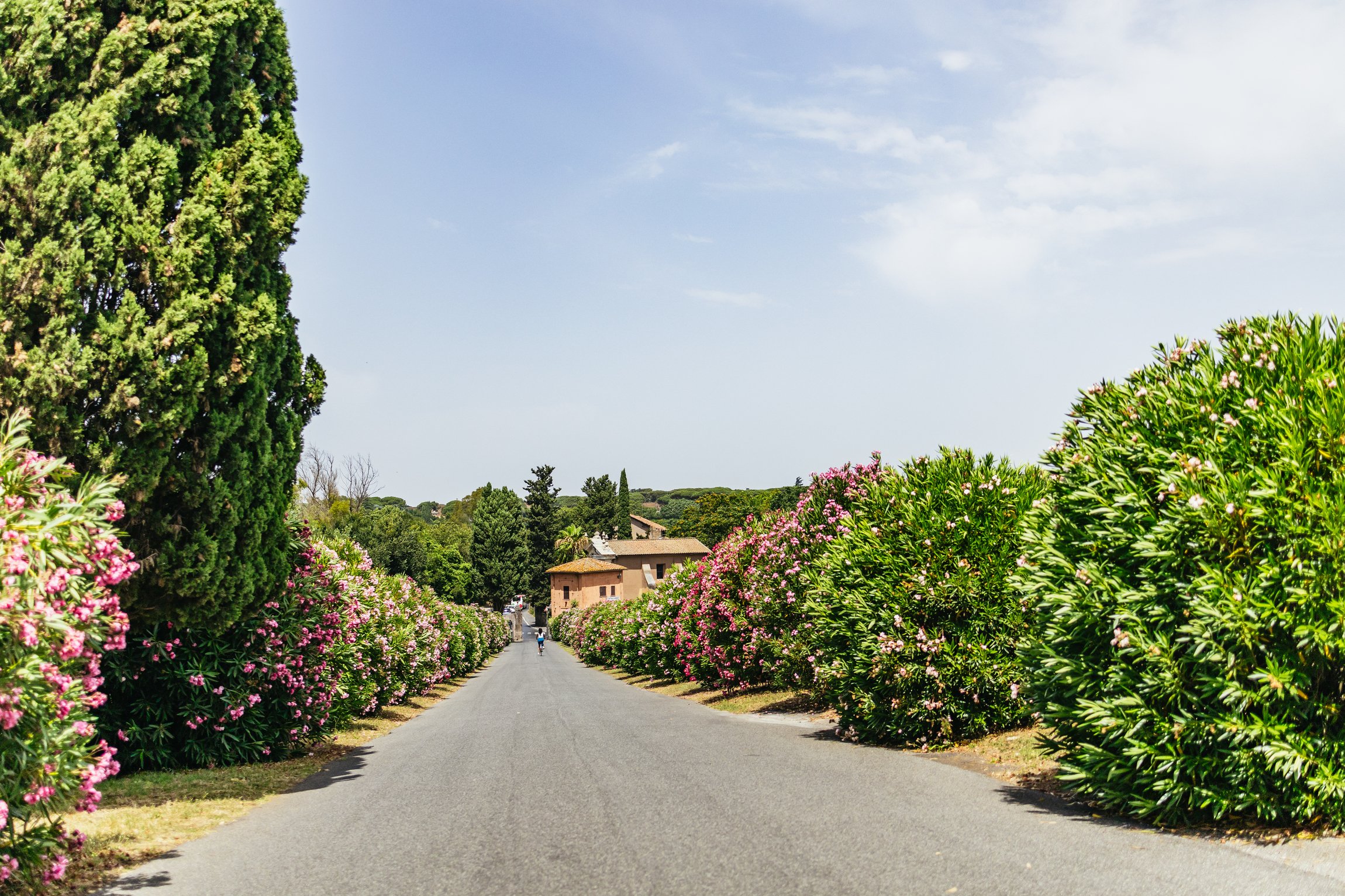 Appia Antica bike rental Rome self guided Appian Way cycling — image 14