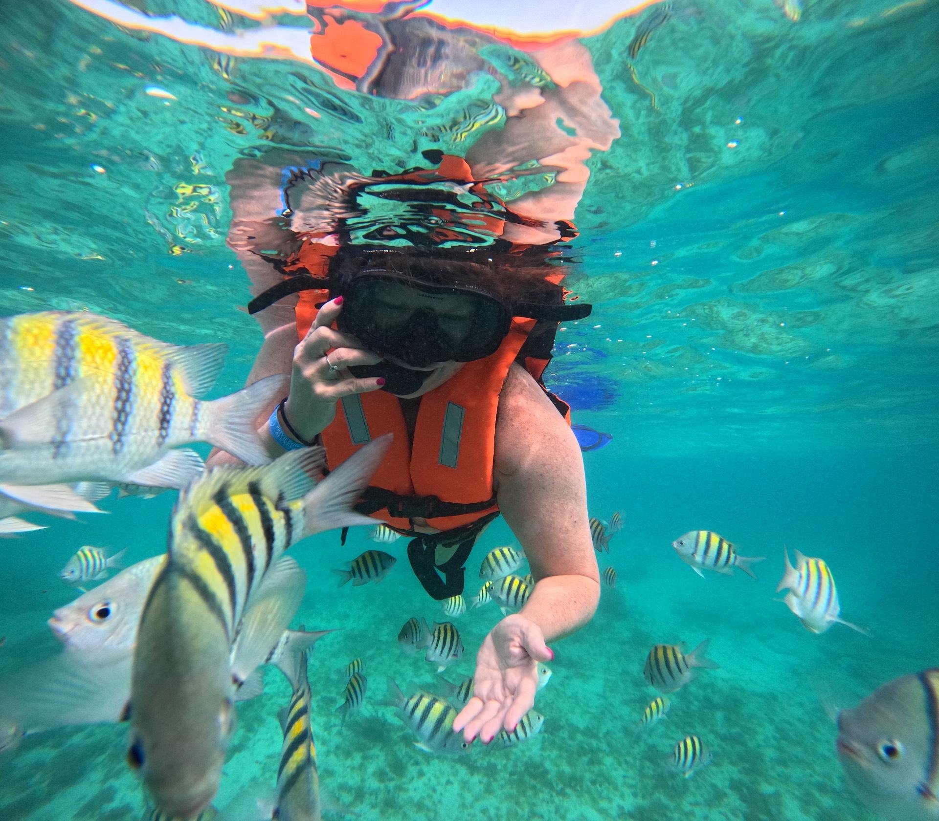 Isla Mujeres Triple Reef Snorkeling & Underwater Museum