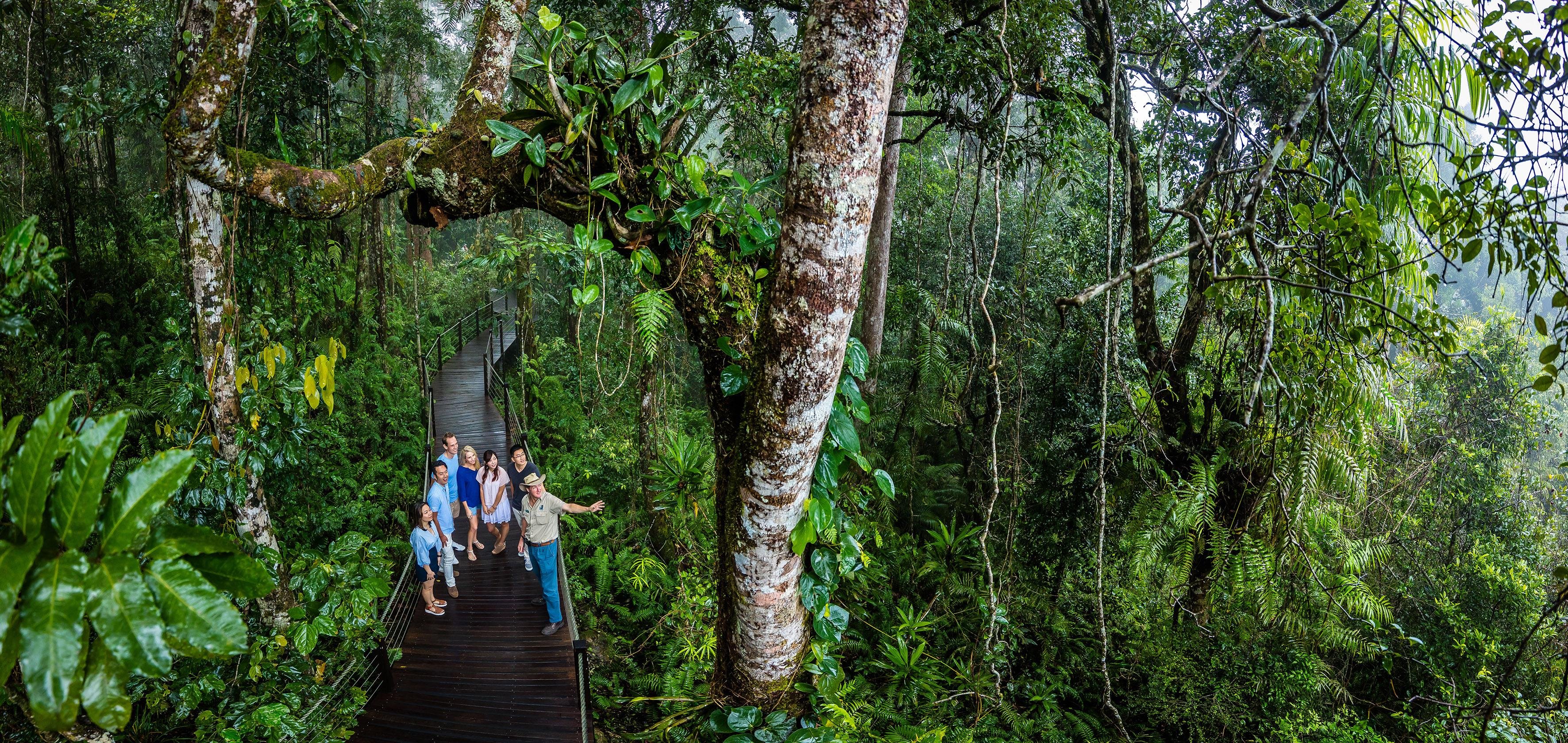 Cairns to Kuranda: Scenic Railway & Skyrail Rainforest Cableway Day Trip