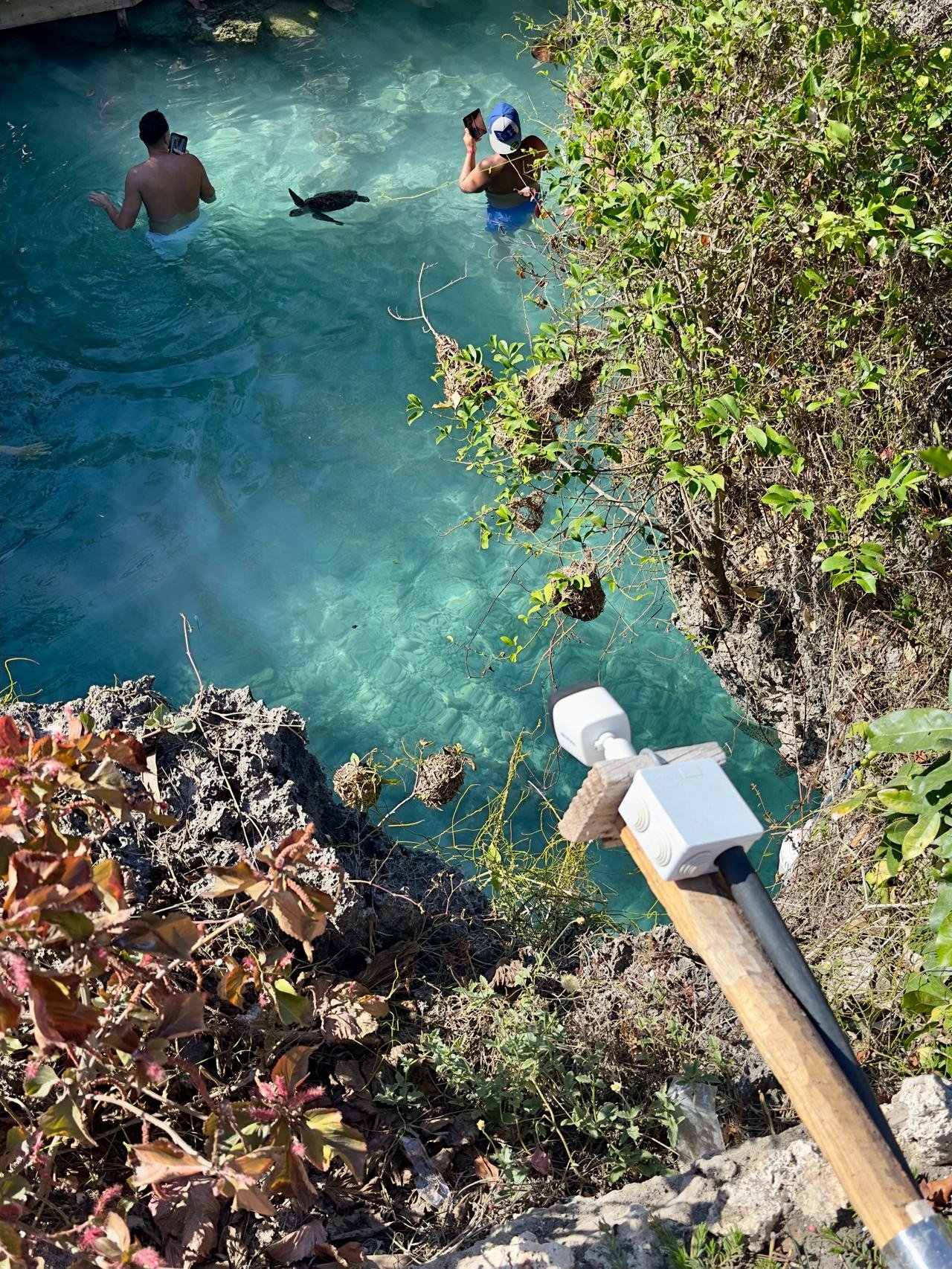 Zanzibar: Swim with Sea Turtles at Salaam Cave, Kizimkazi