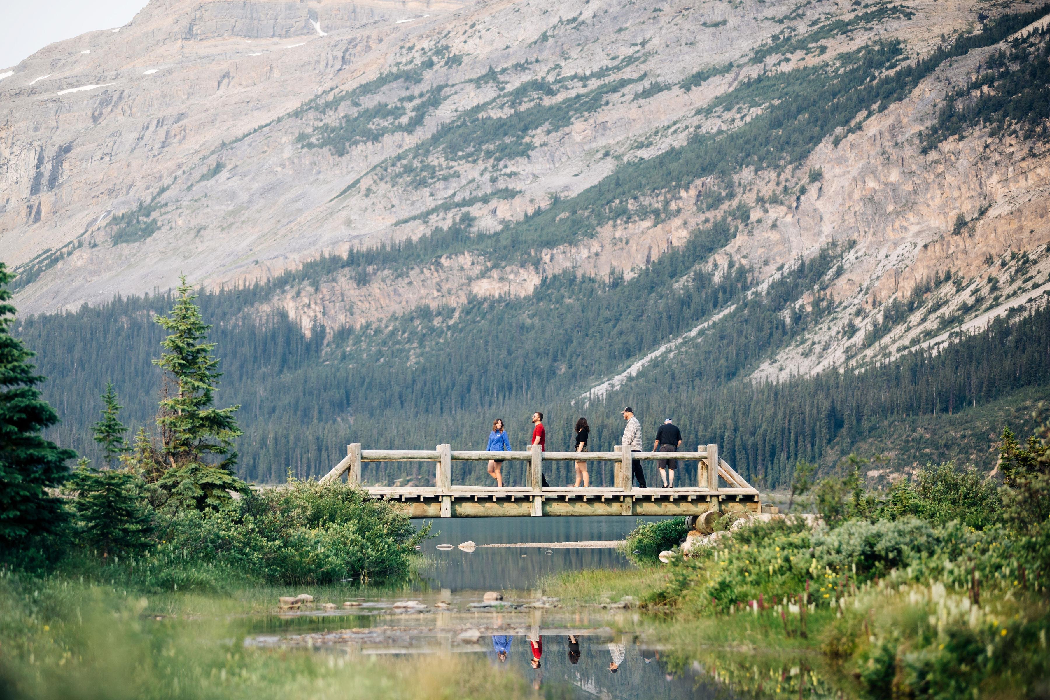Icefields Parkway tour from Banff — Columbia Icefield, Athabasca Glacier and Glacier Skywalk — image 16