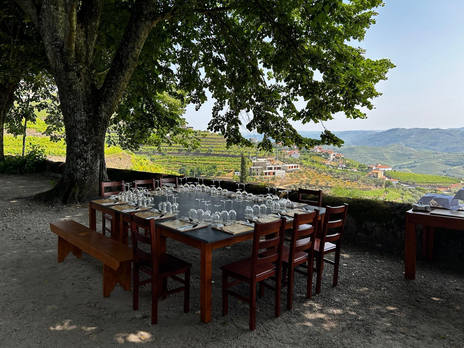 olive oil tasting in Peso da Régua — photo 26