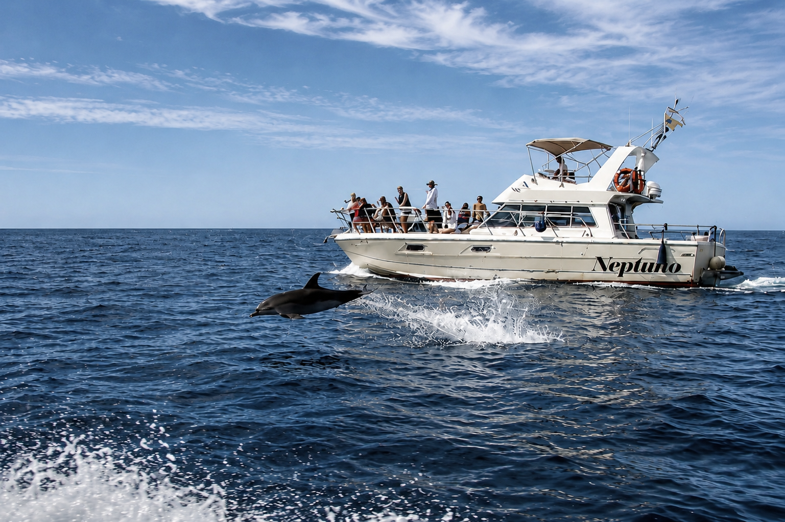 Tenerife Whale Watching Yacht Cruise with Swim & Lunch