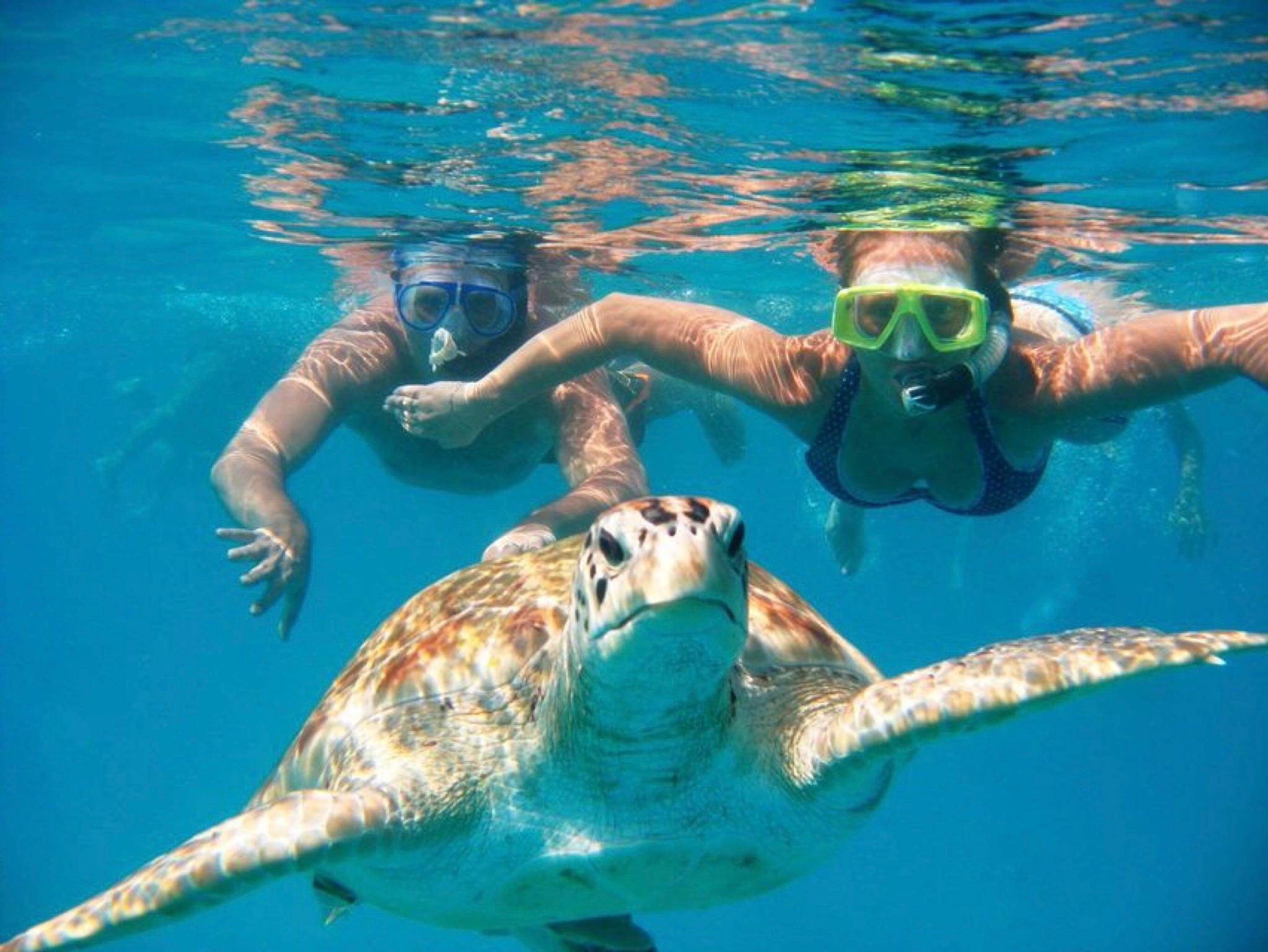 Bali Snorkeling Excursion: Blue Lagoon & Tanjung Jepun