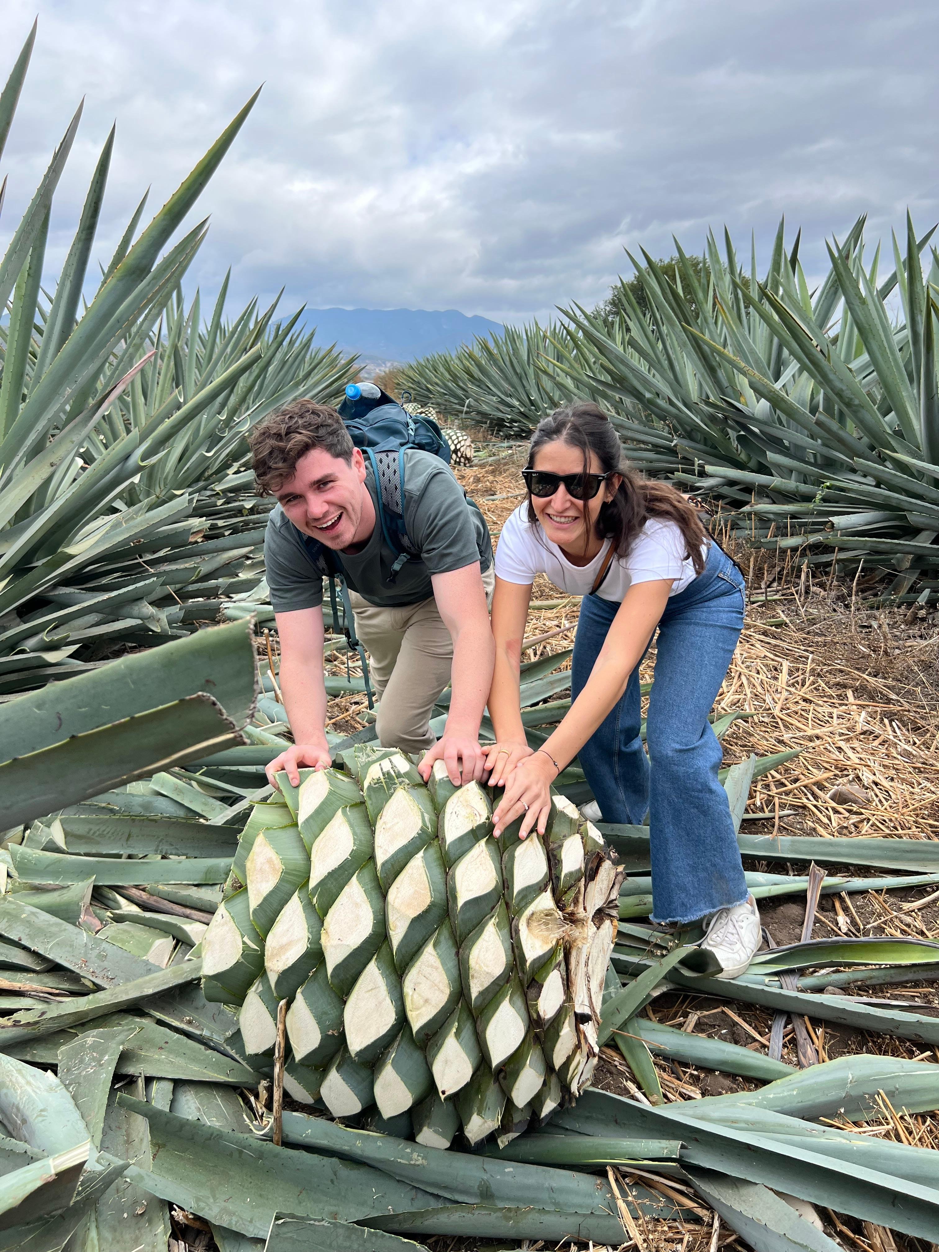 Authentic Mezcal Experience in Matatlán
