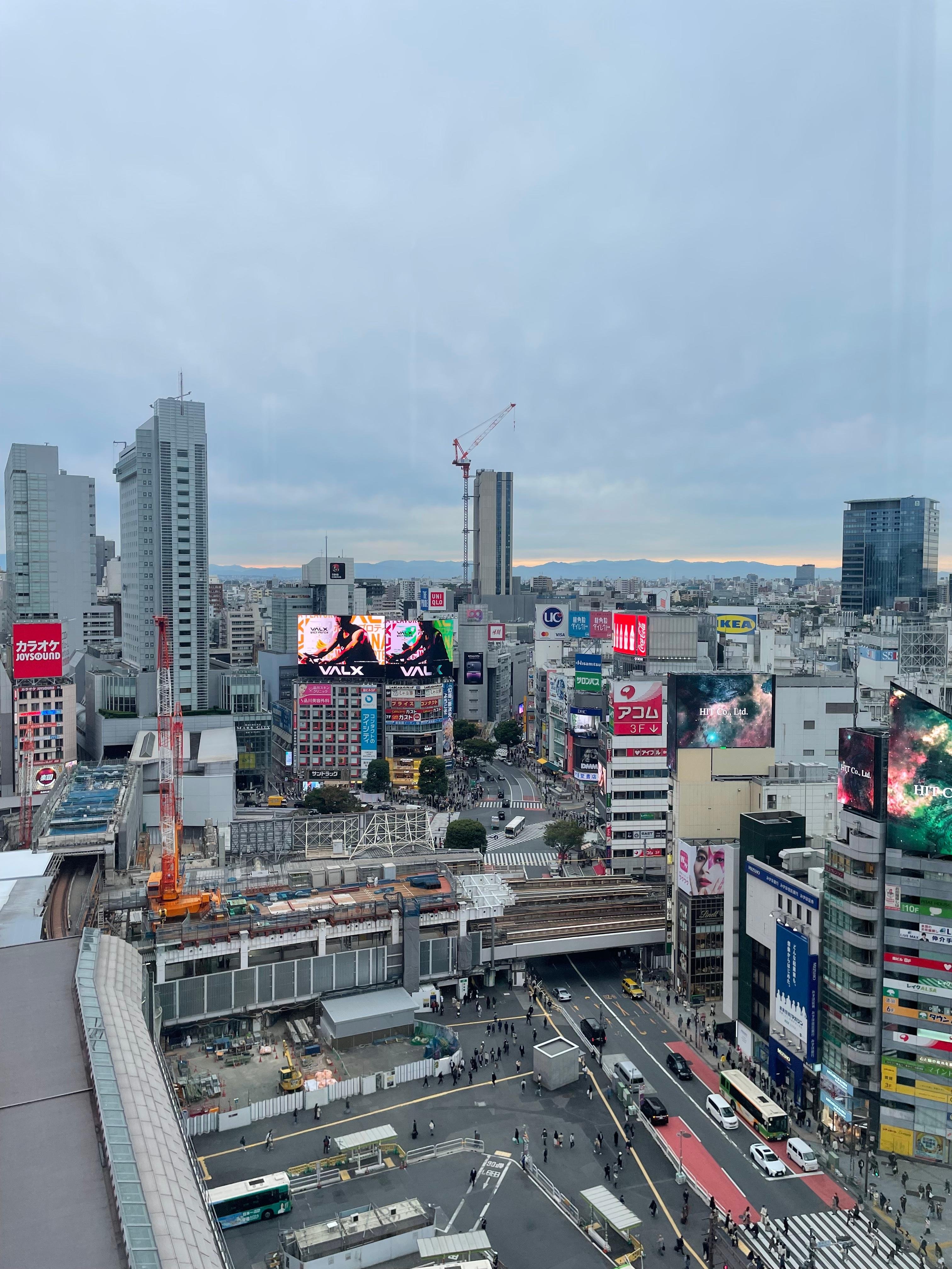Shibuya Highlights Walking Tour with Local Guide