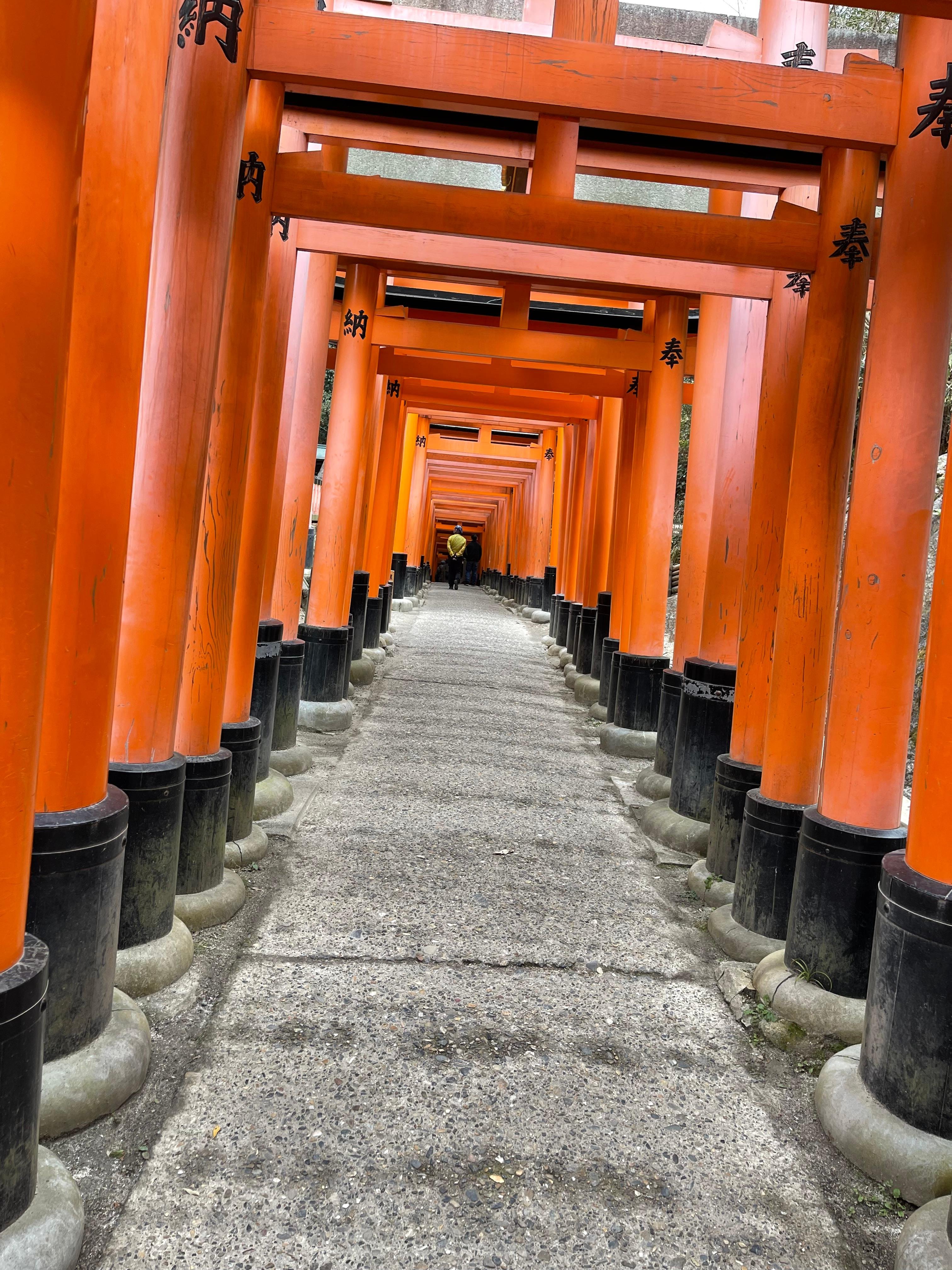 Japan 10-Day All-Inclusive Private Tour: Tokyo to Osaka