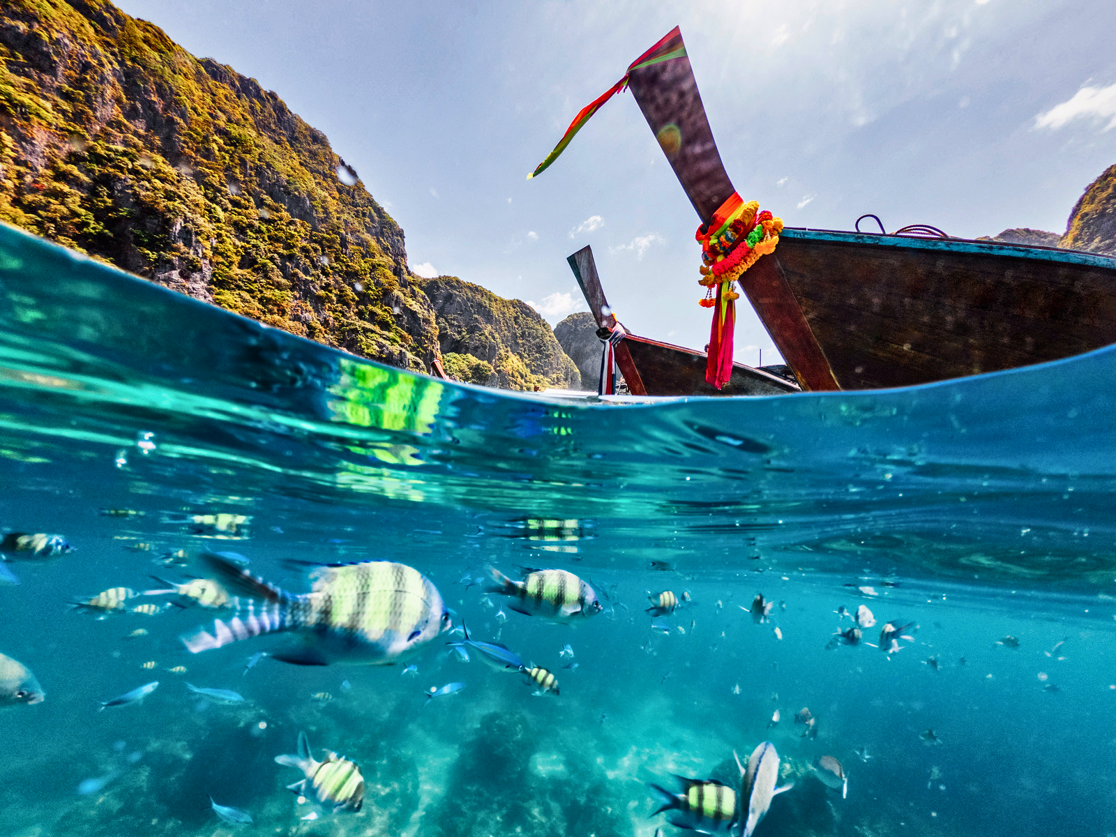 Phuket Phi Phi, Maya, and Khai Island Luxury Speedboat Tour