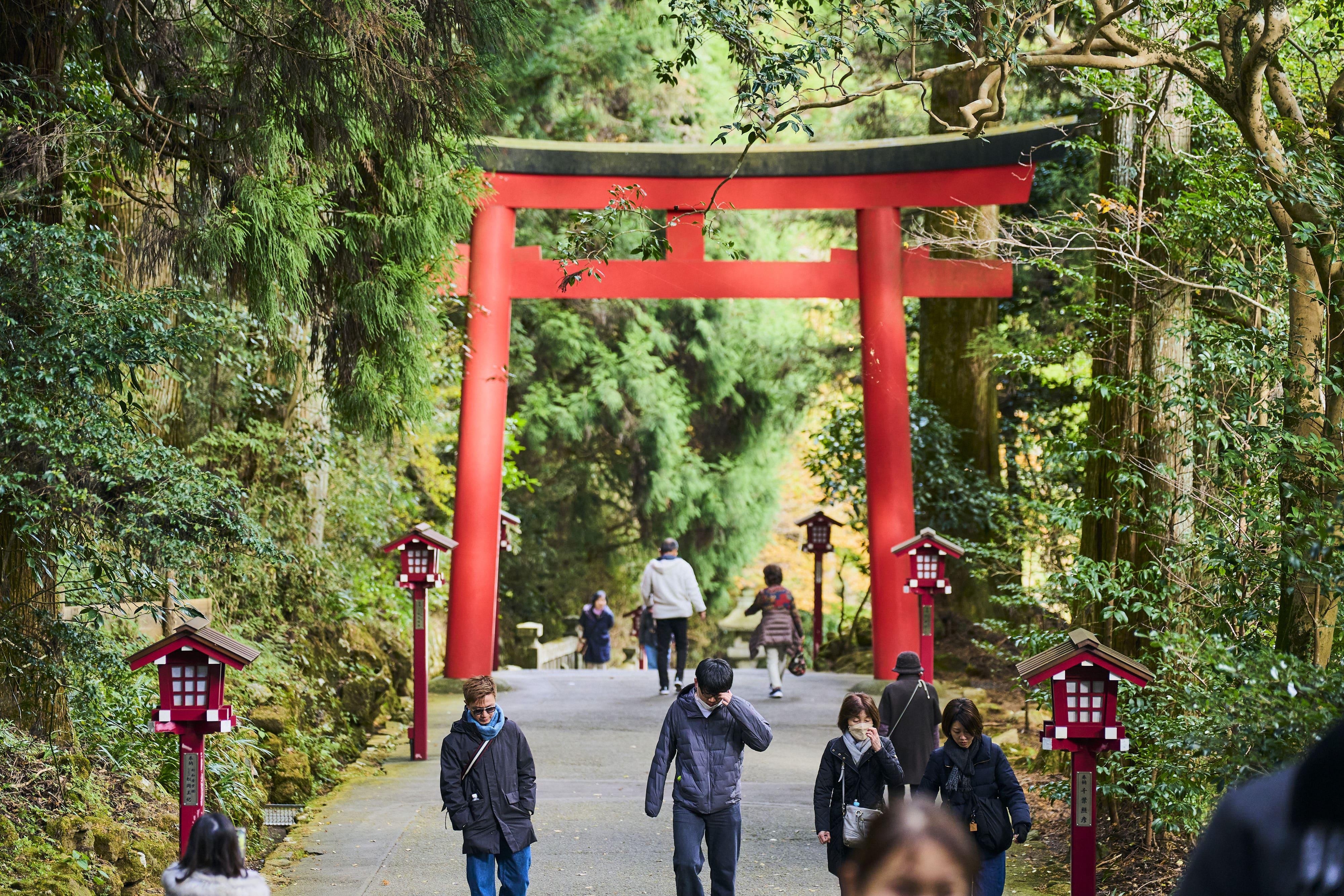 Tokyo: Mt. Fuji Cruise & Hakone Ropeway Day Trip by Bus
