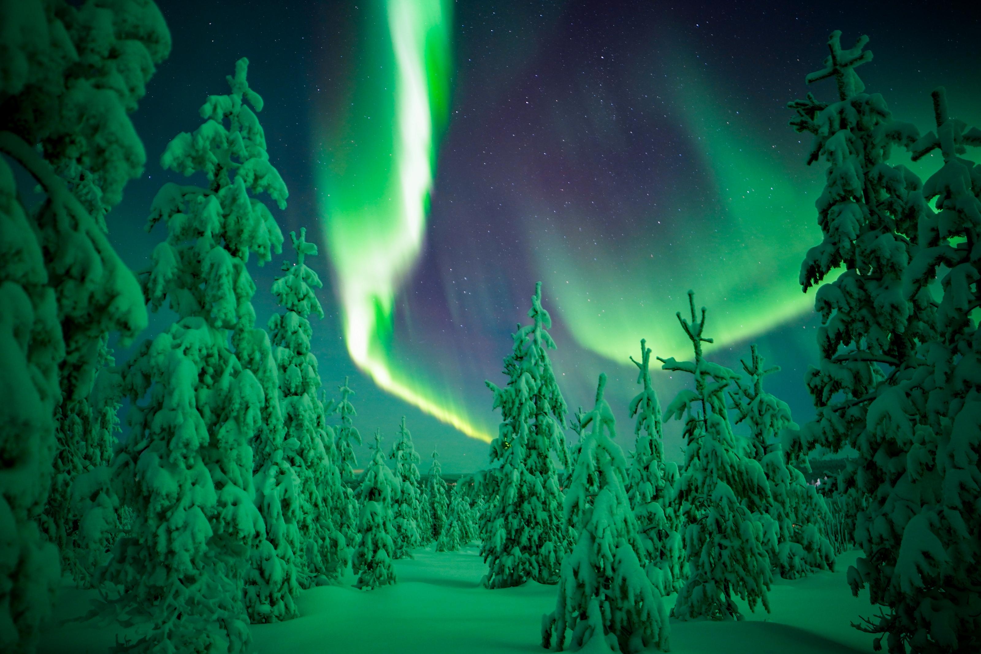 Small-Group Northern Lights Hunt in Rovaniemi Wilderness