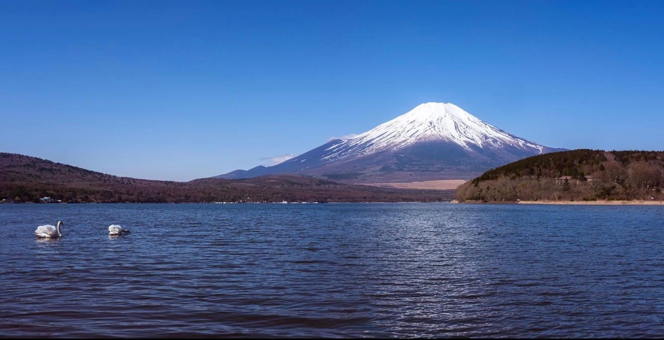 Customizable Mount Fuji Private Day Trip from Tokyo