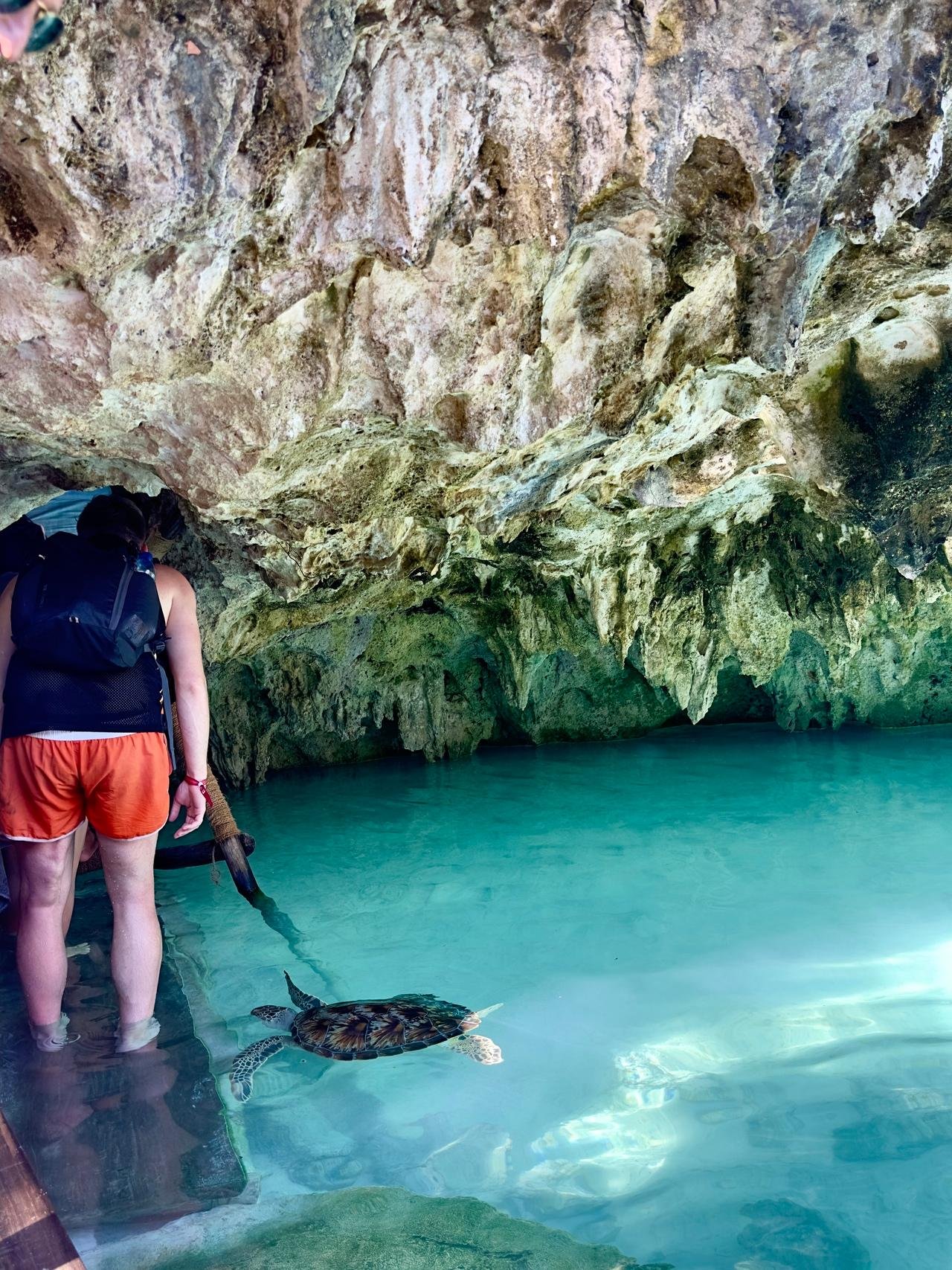 Zanzibar: Swim with Sea Turtles at Salaam Cave, Kizimkazi