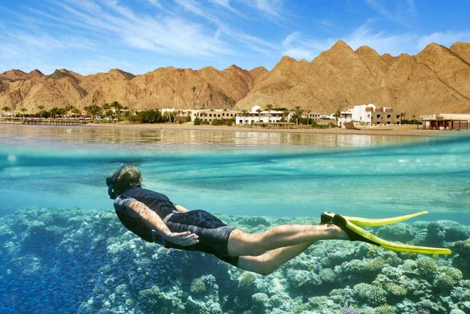 Red Sea Day Escape to El Ain Sokhna from Cairo